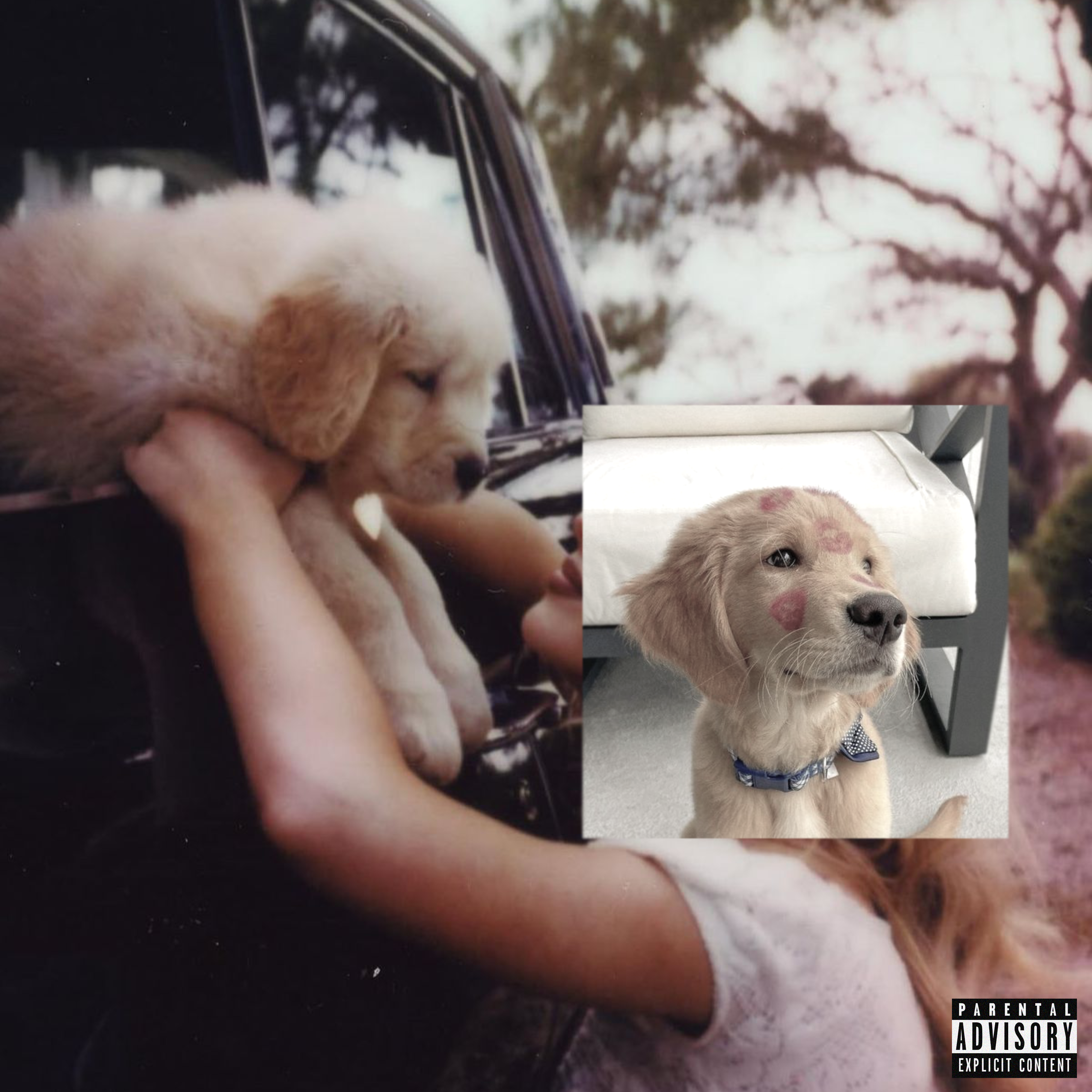 Pismo Beach by OldPets cover art