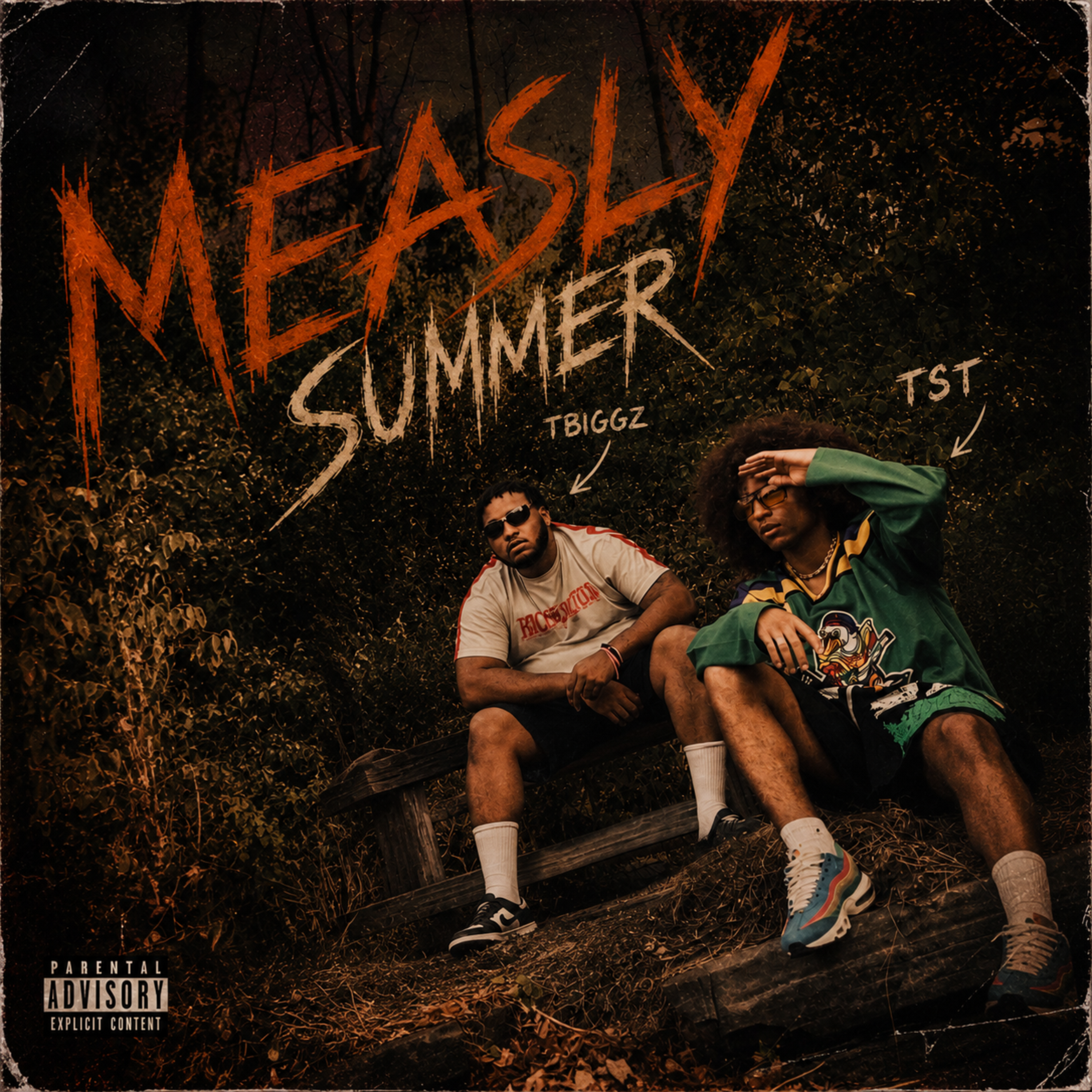 Measly Summer by TST cover art