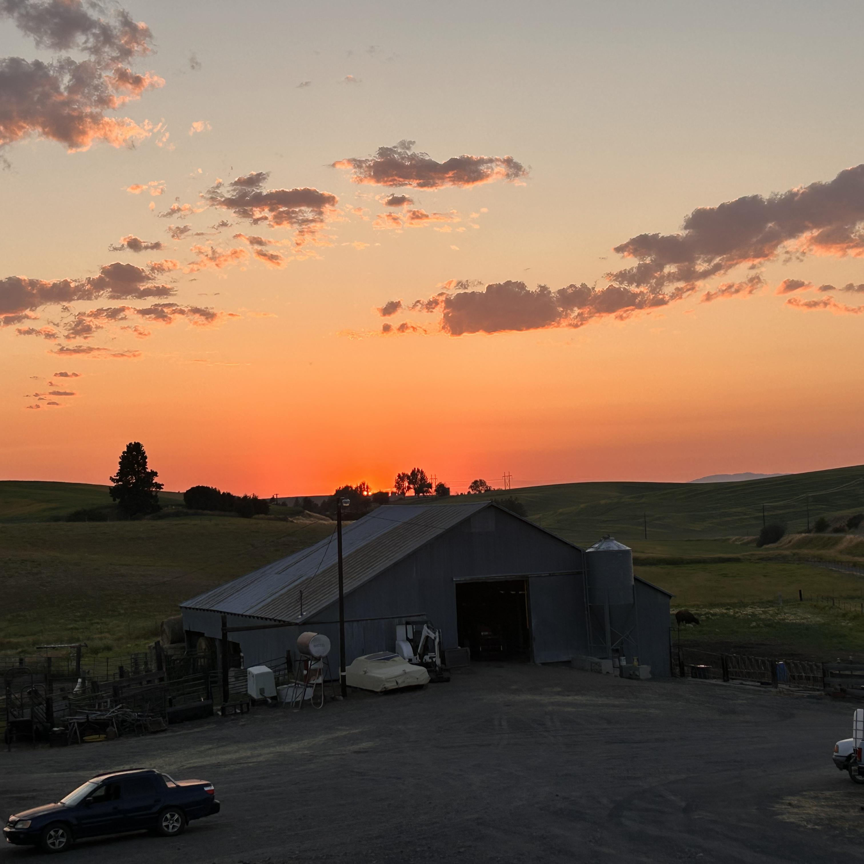 Idaho Sunsets artwork
