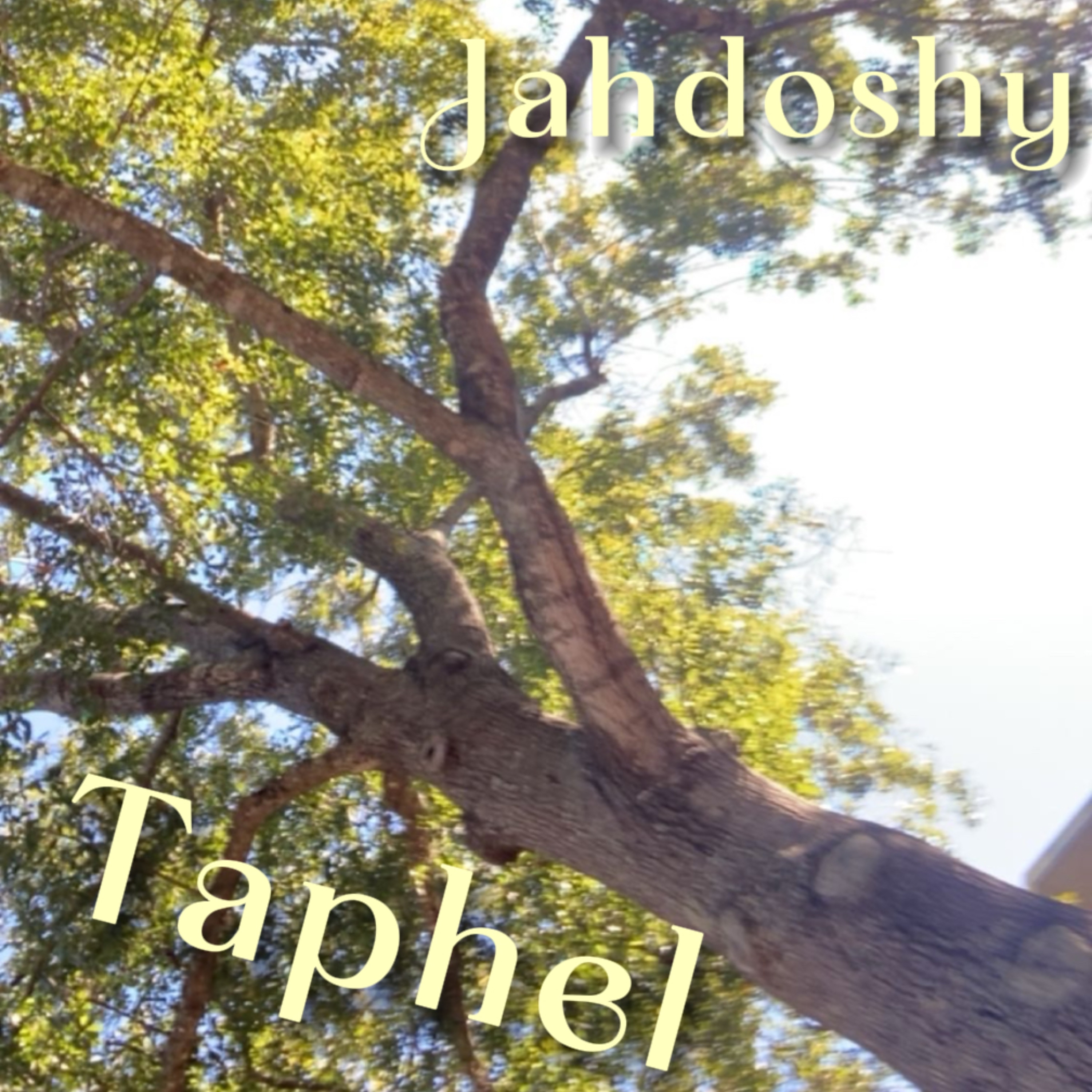 Taphel artwork