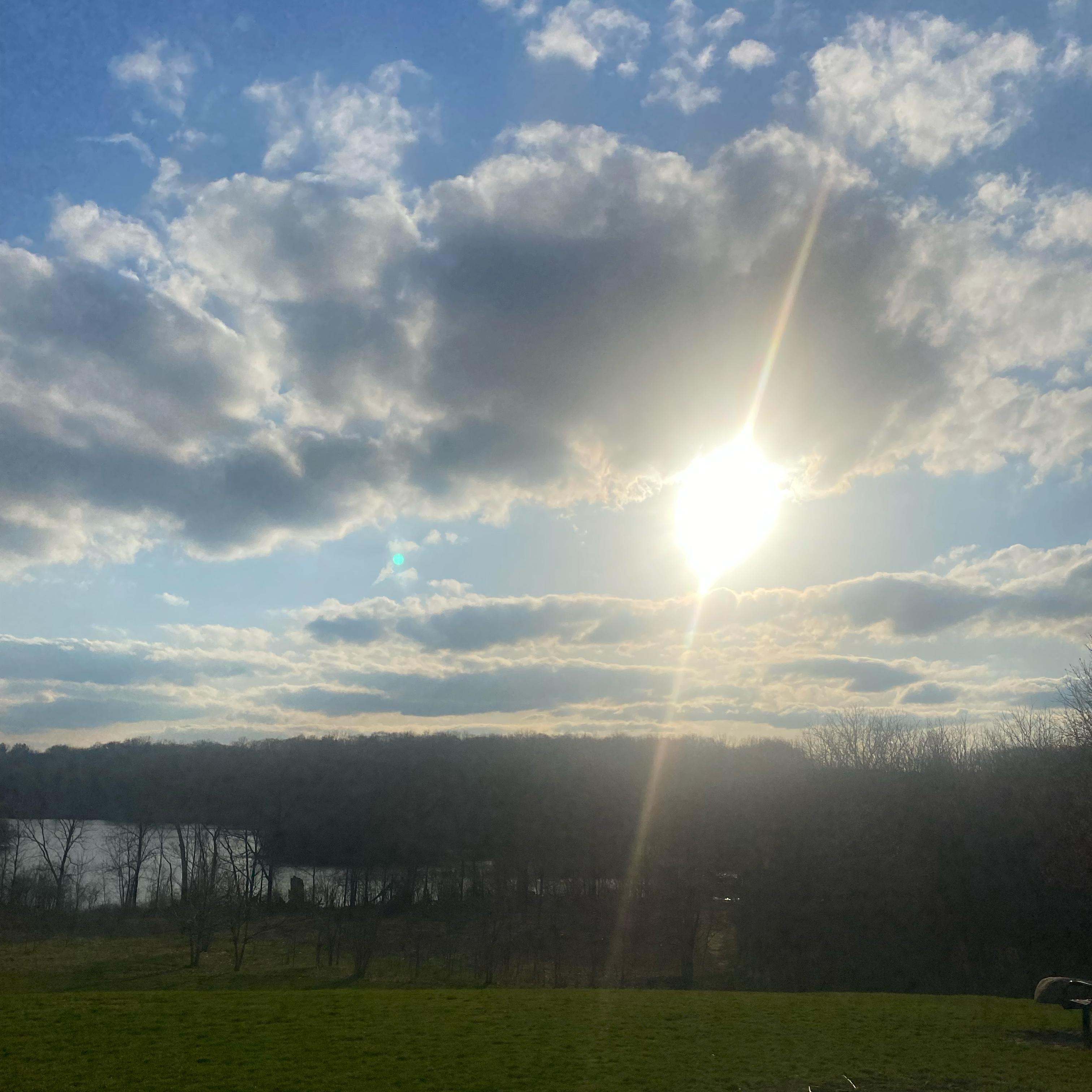 Spring Poetry artwork