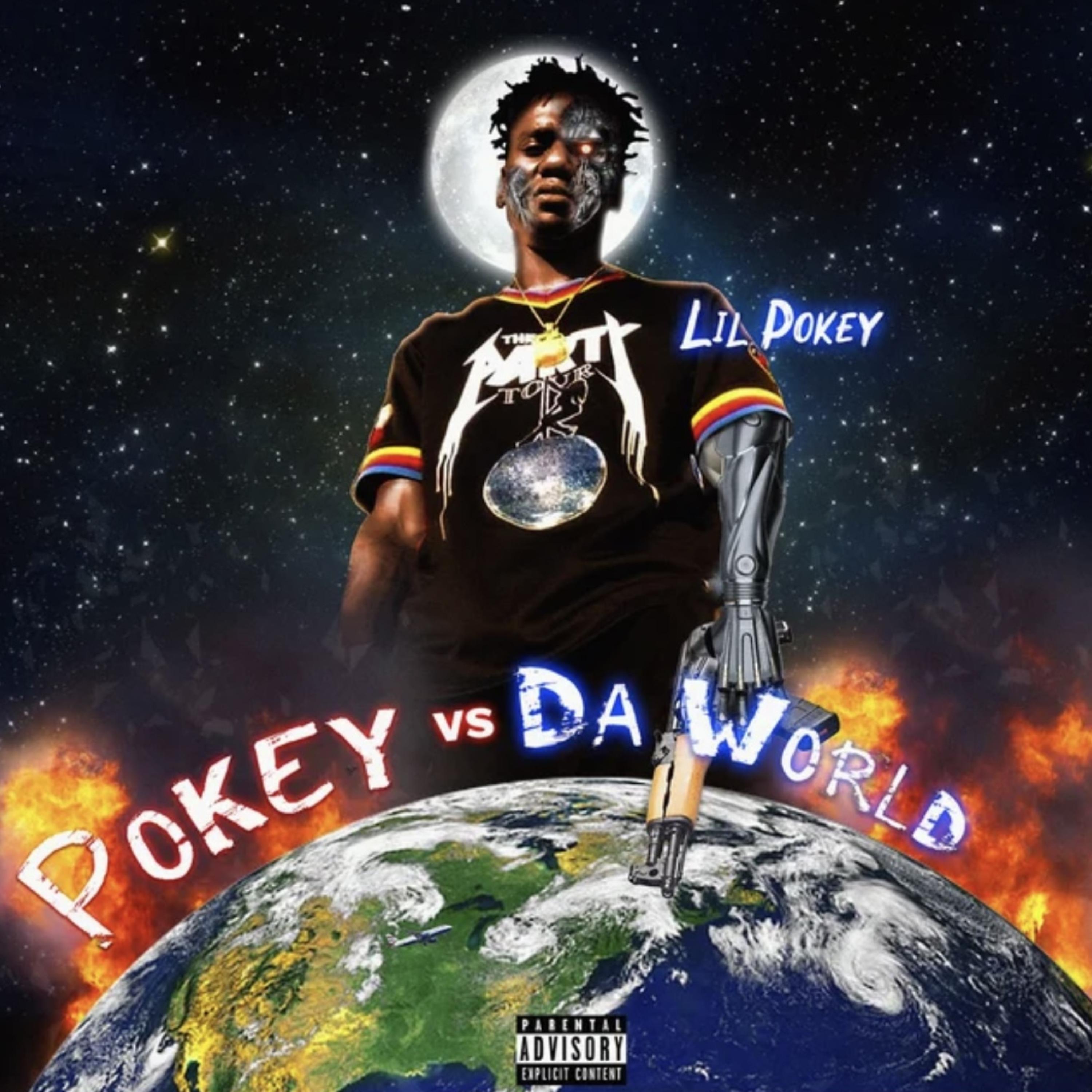 Pokey Vs The World artwork