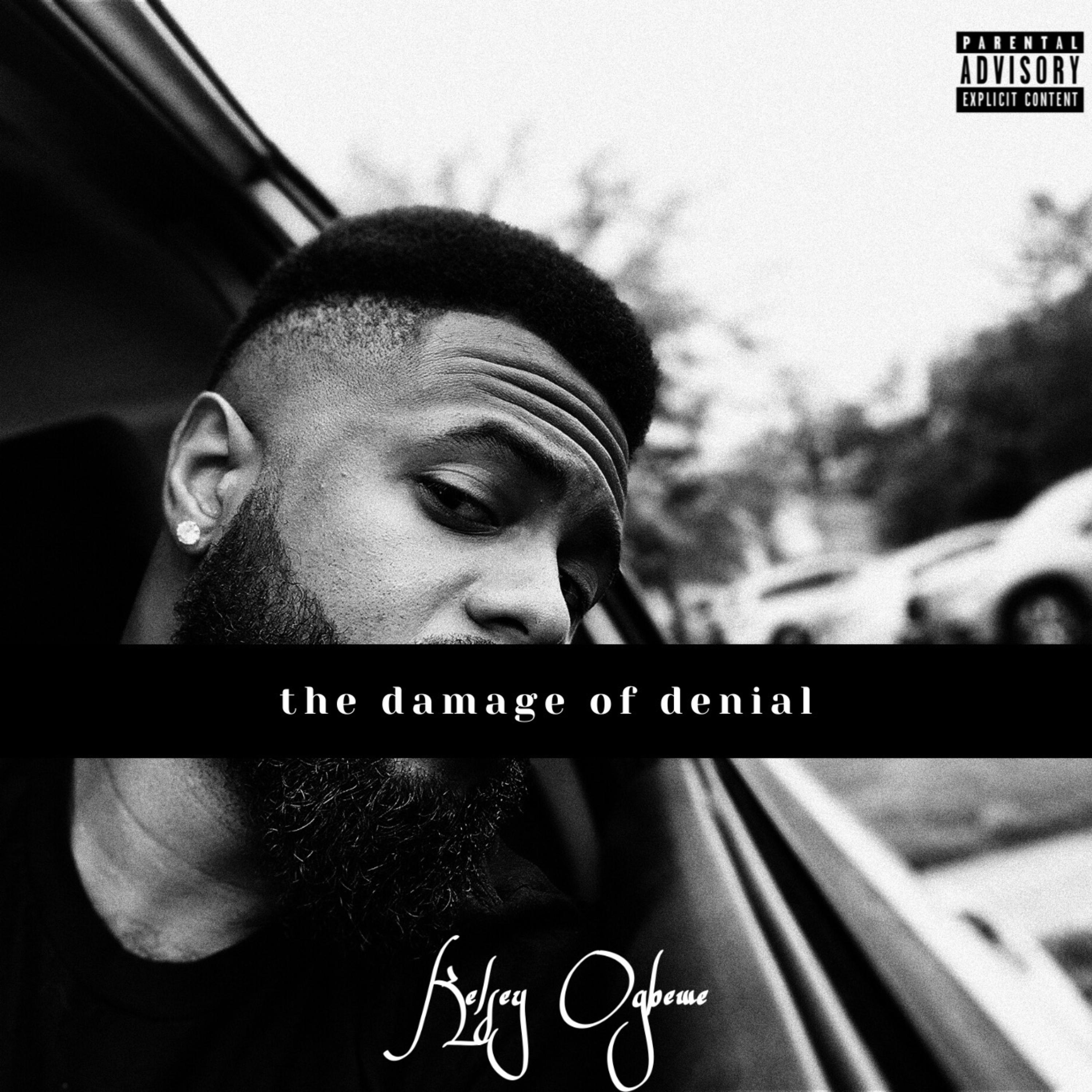 the damage of denial artwork