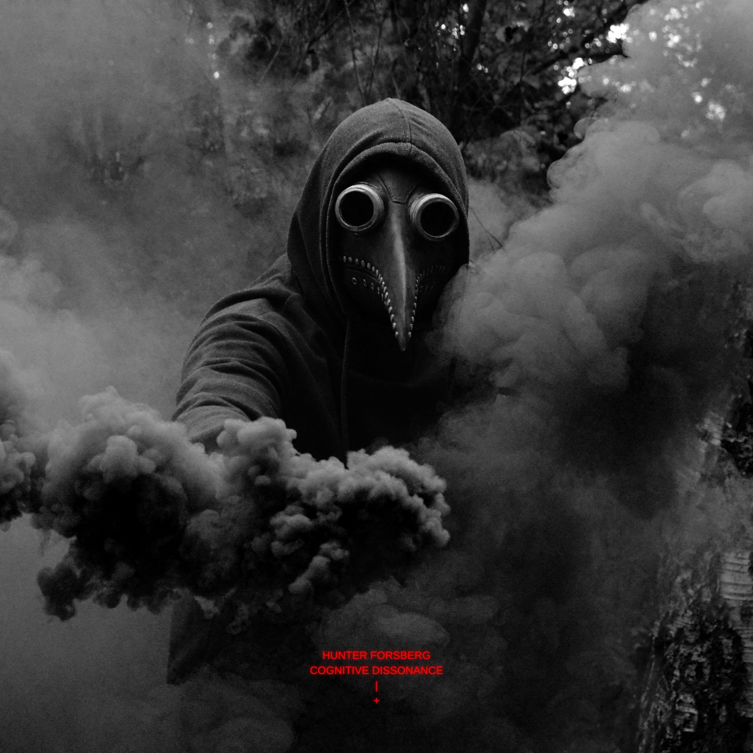 Cognitive Dissonance artwork