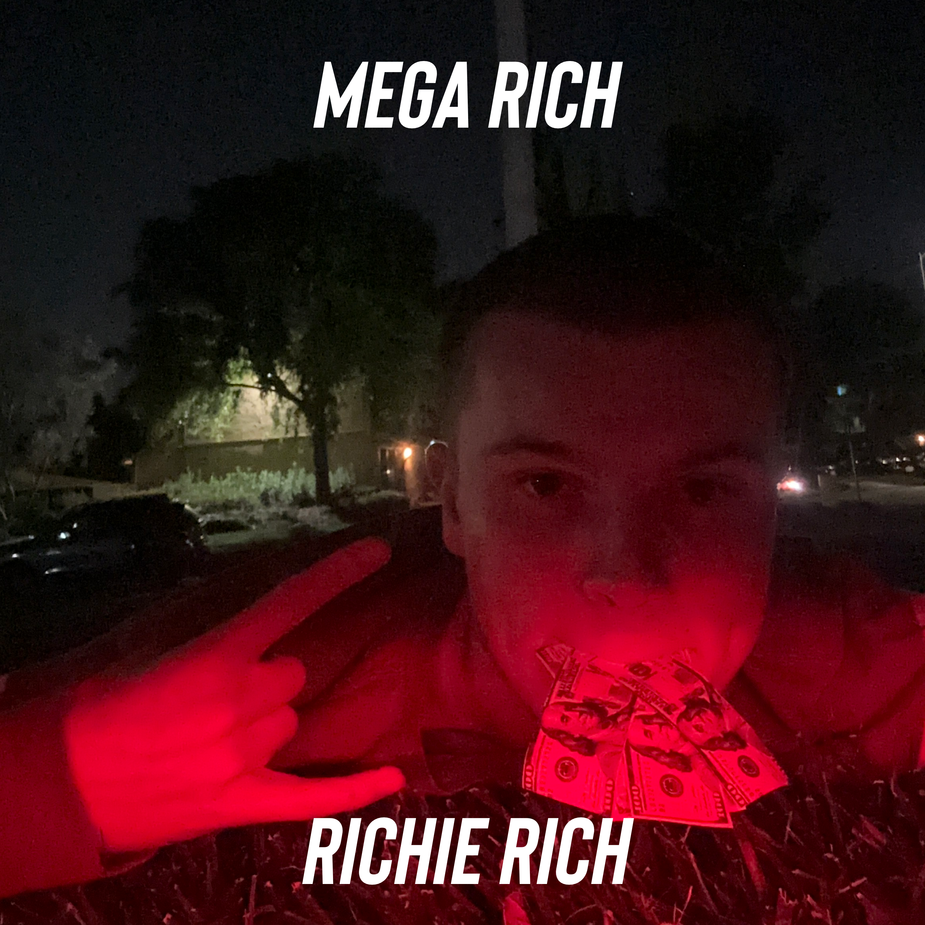 Mega Rich artwork