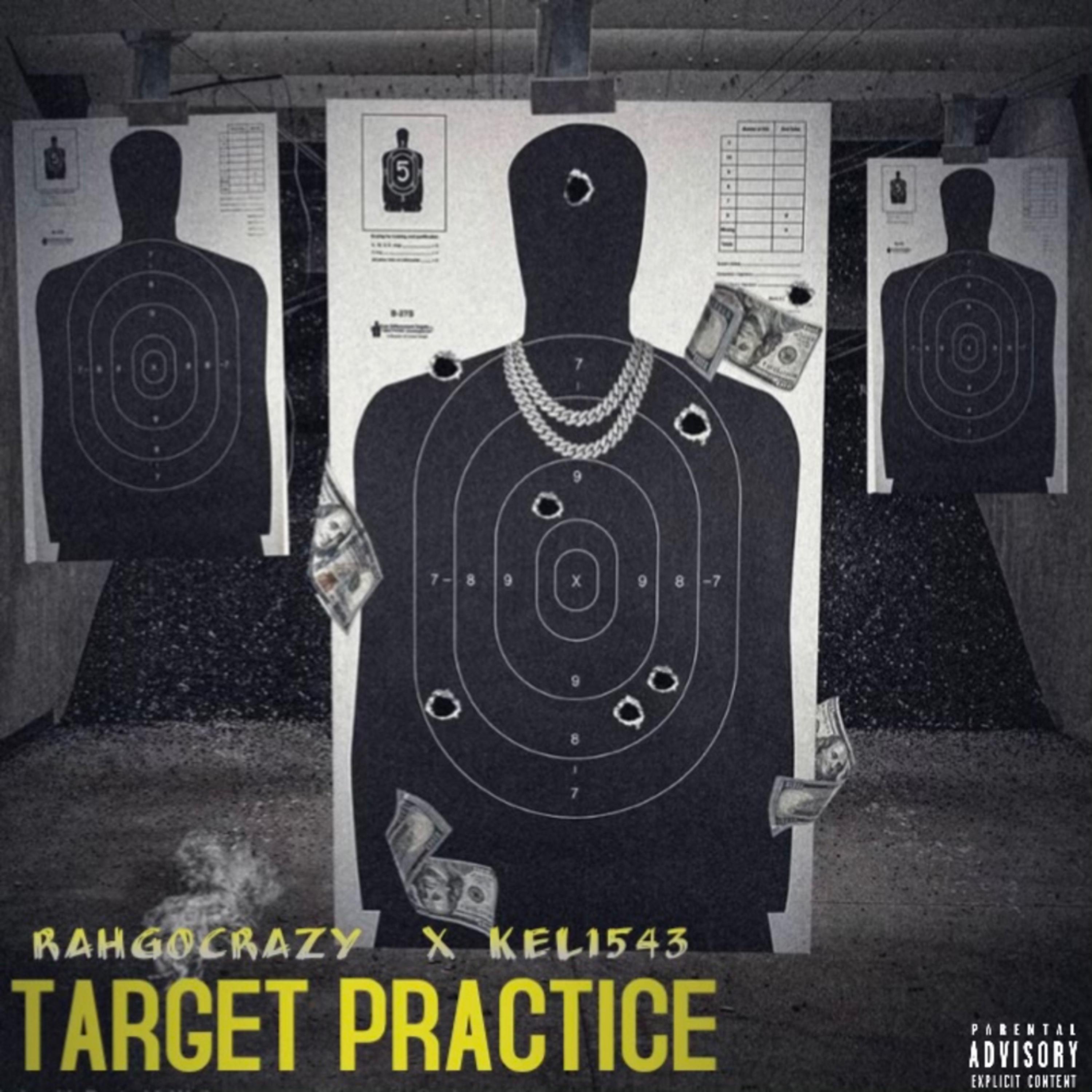 Target Practice artwork