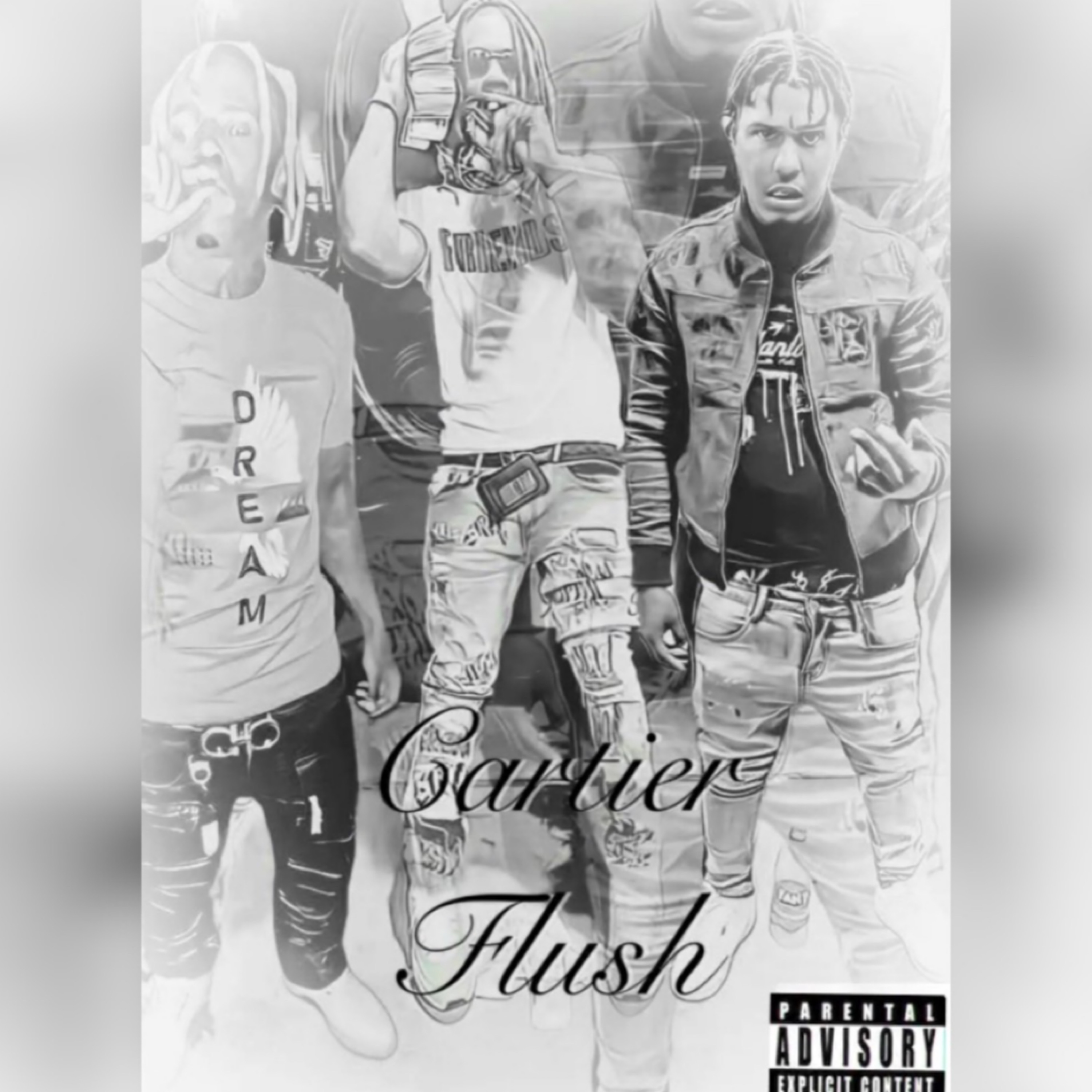 Cartier flush artwork