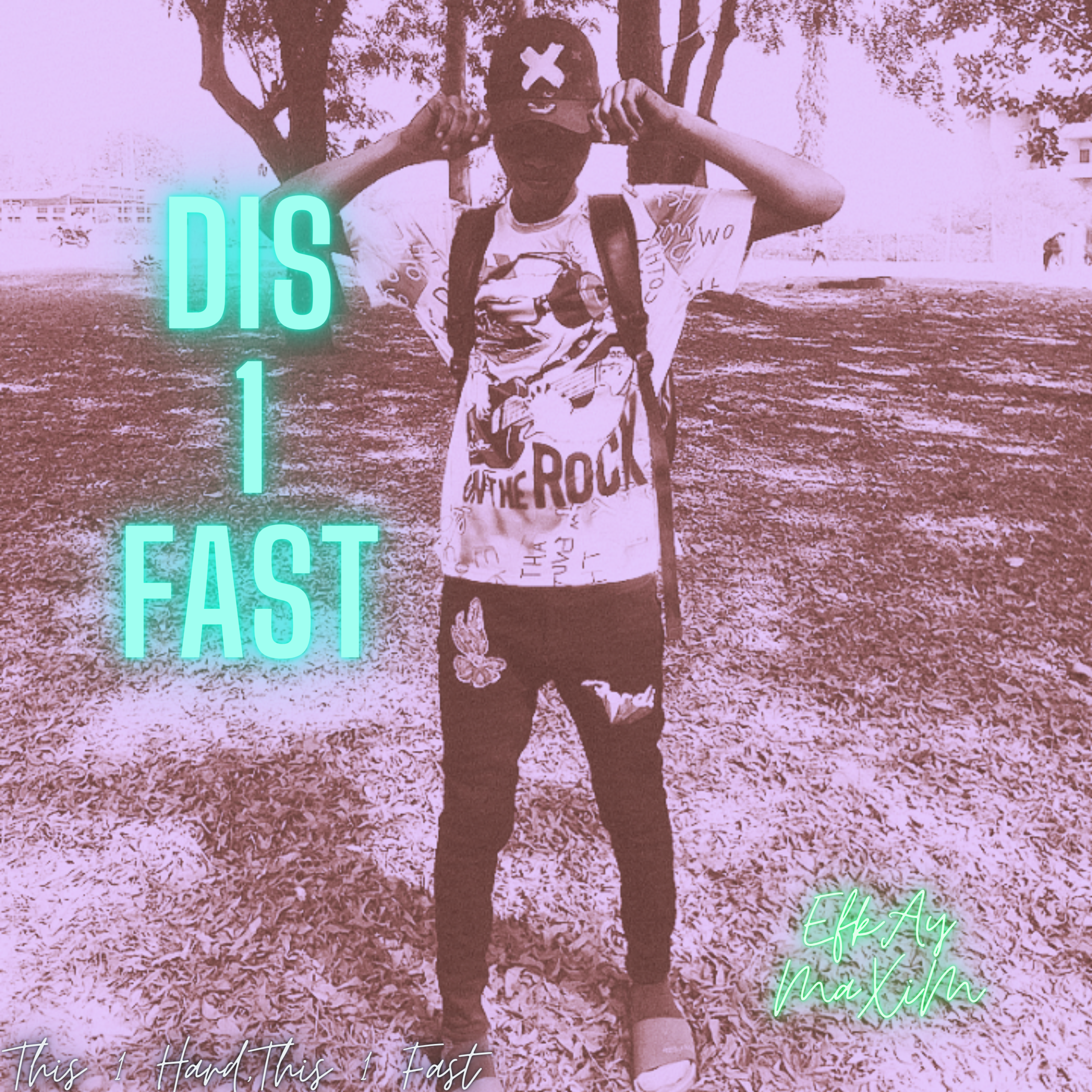 Dis1Fast artwork