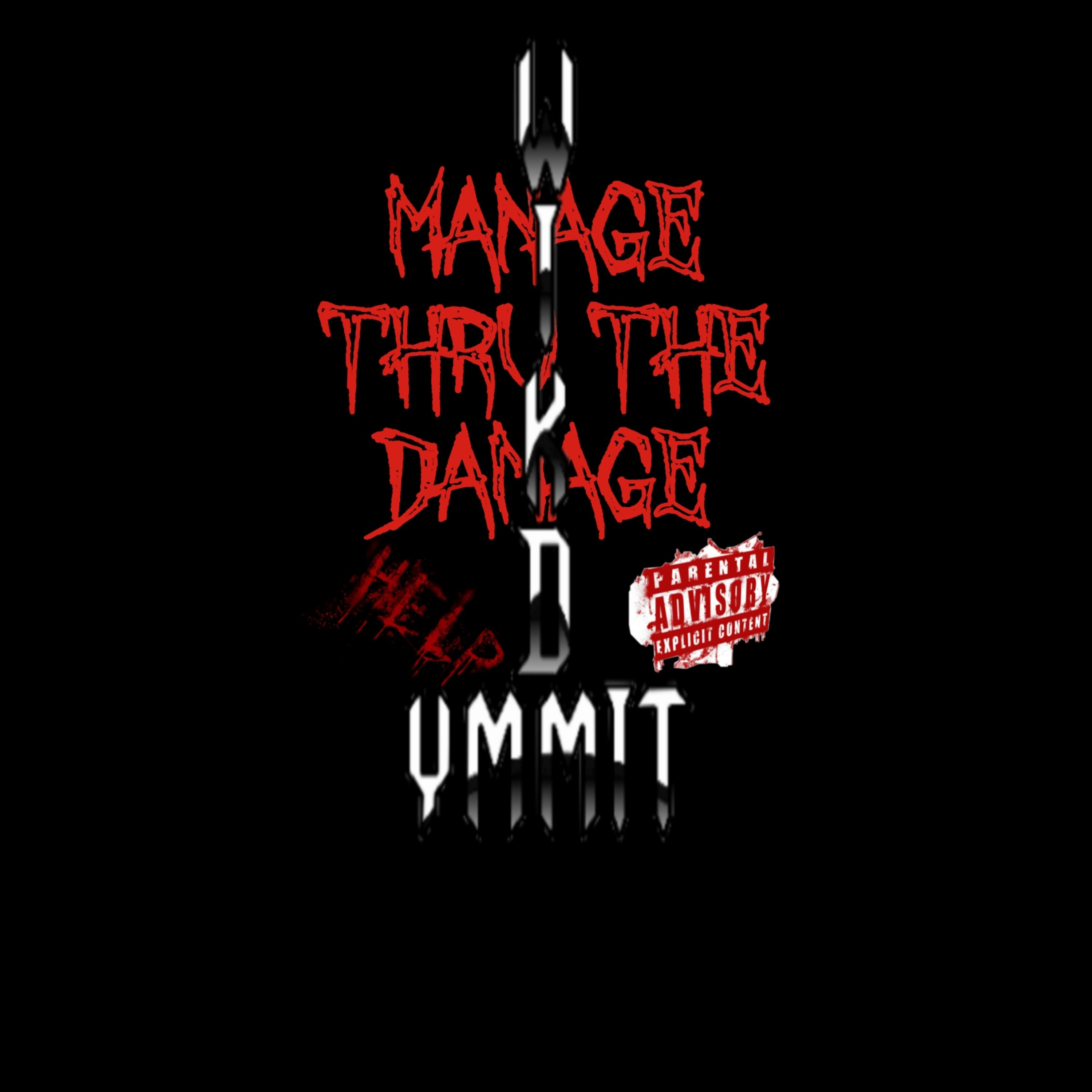 Manage thru the damage by Wikd Ymmit cover art