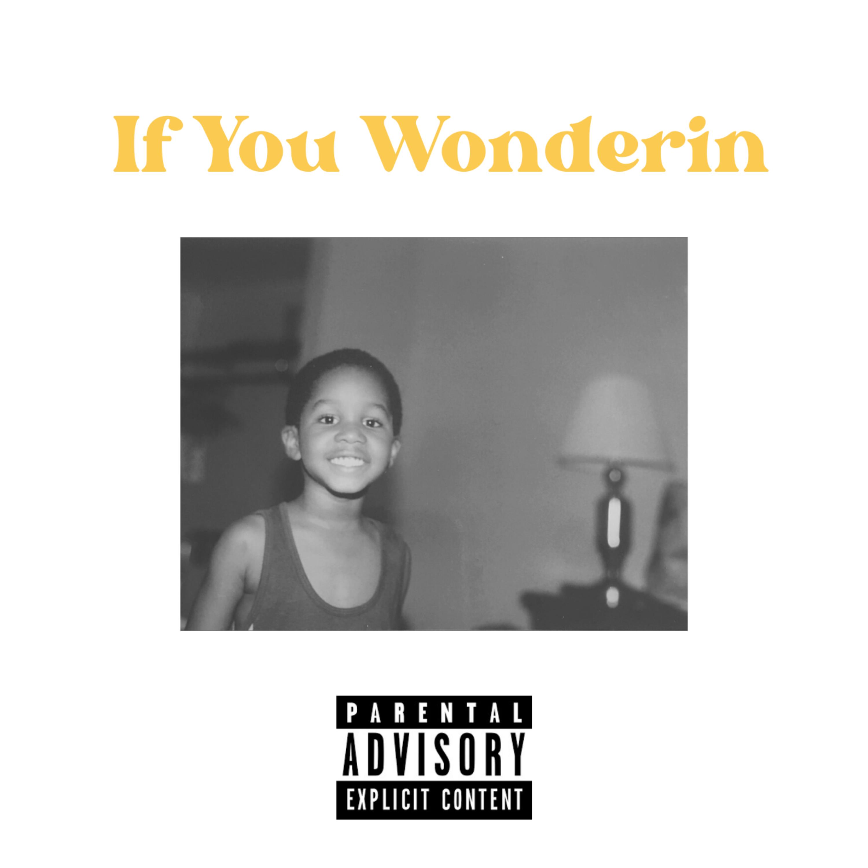 If You Wonderin artwork