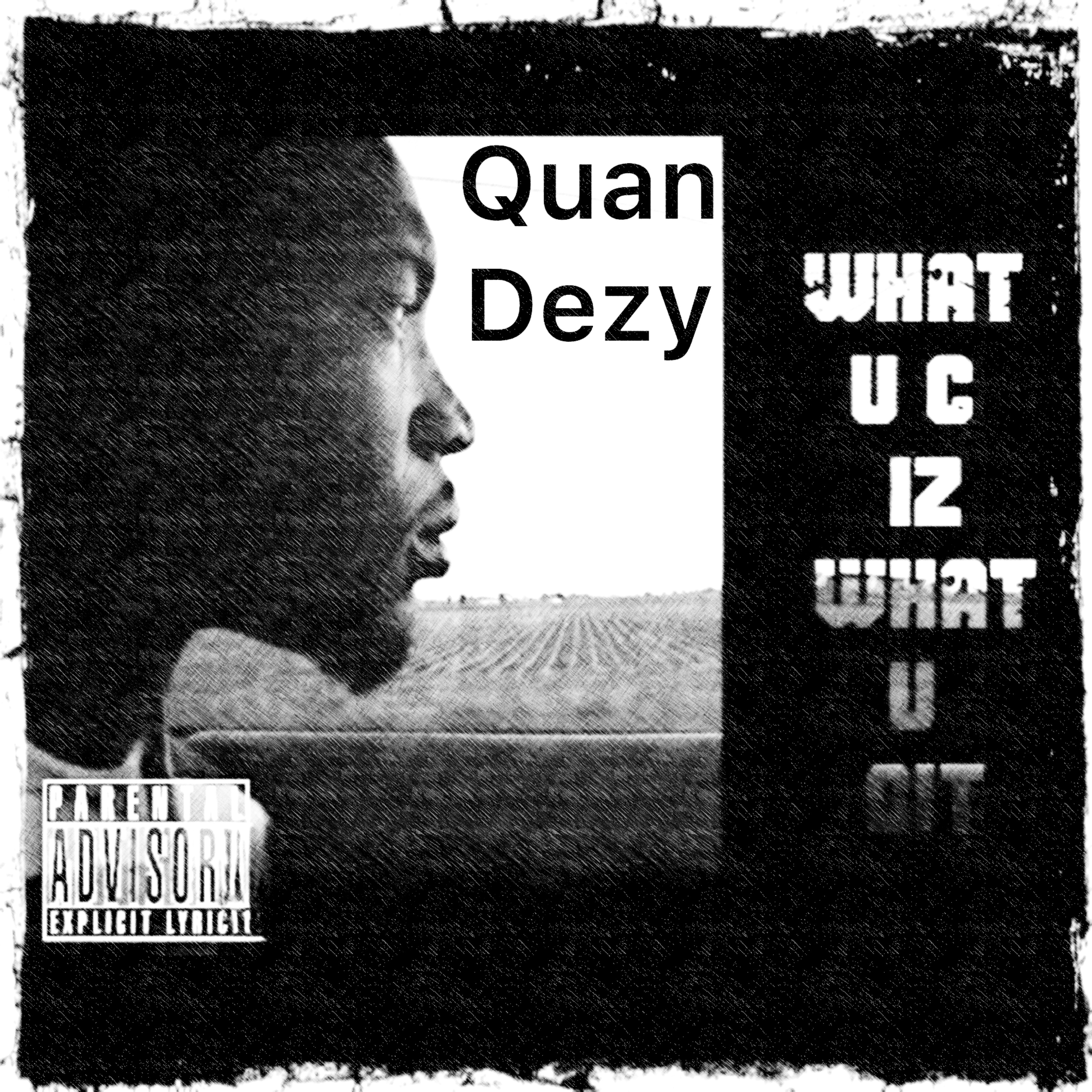 What U C Iz What U Git artwork
