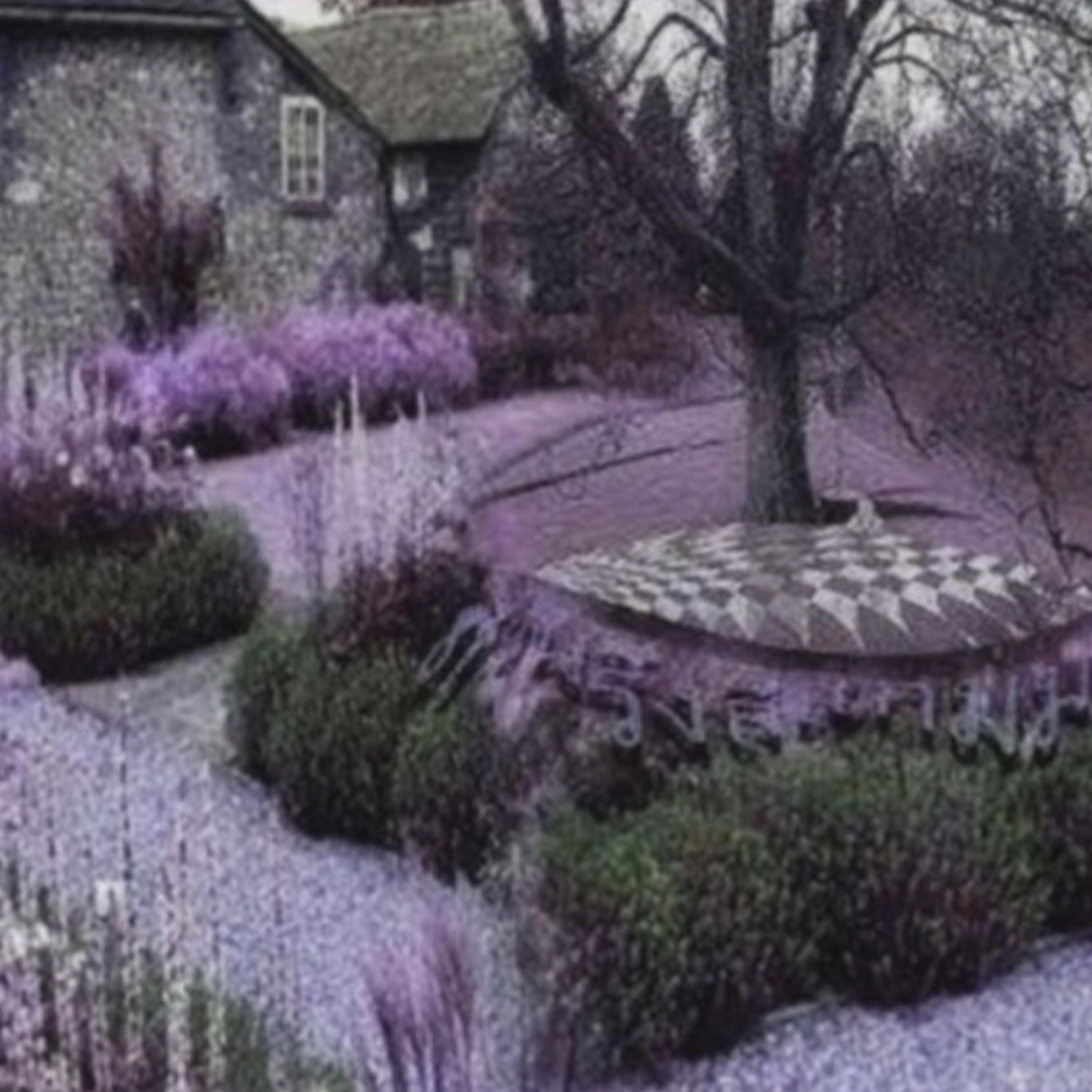 Cerebral Consciousness ￼Is to be Found artwork