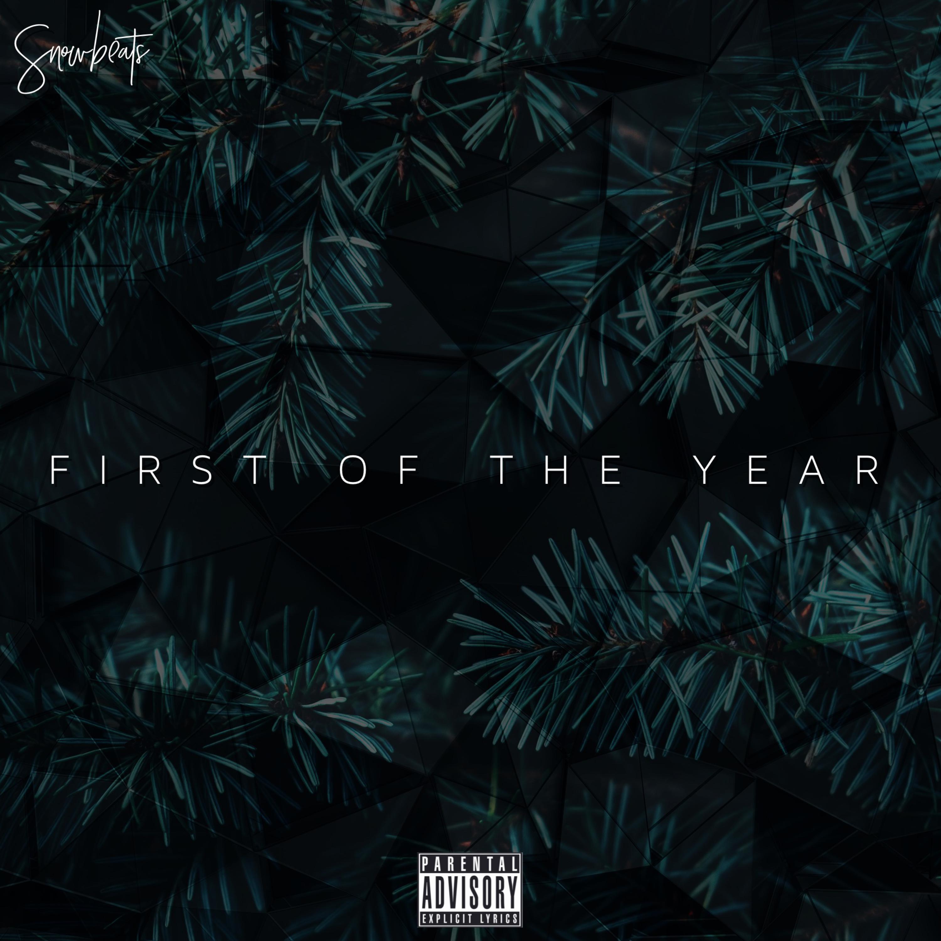 First Of The Year artwork