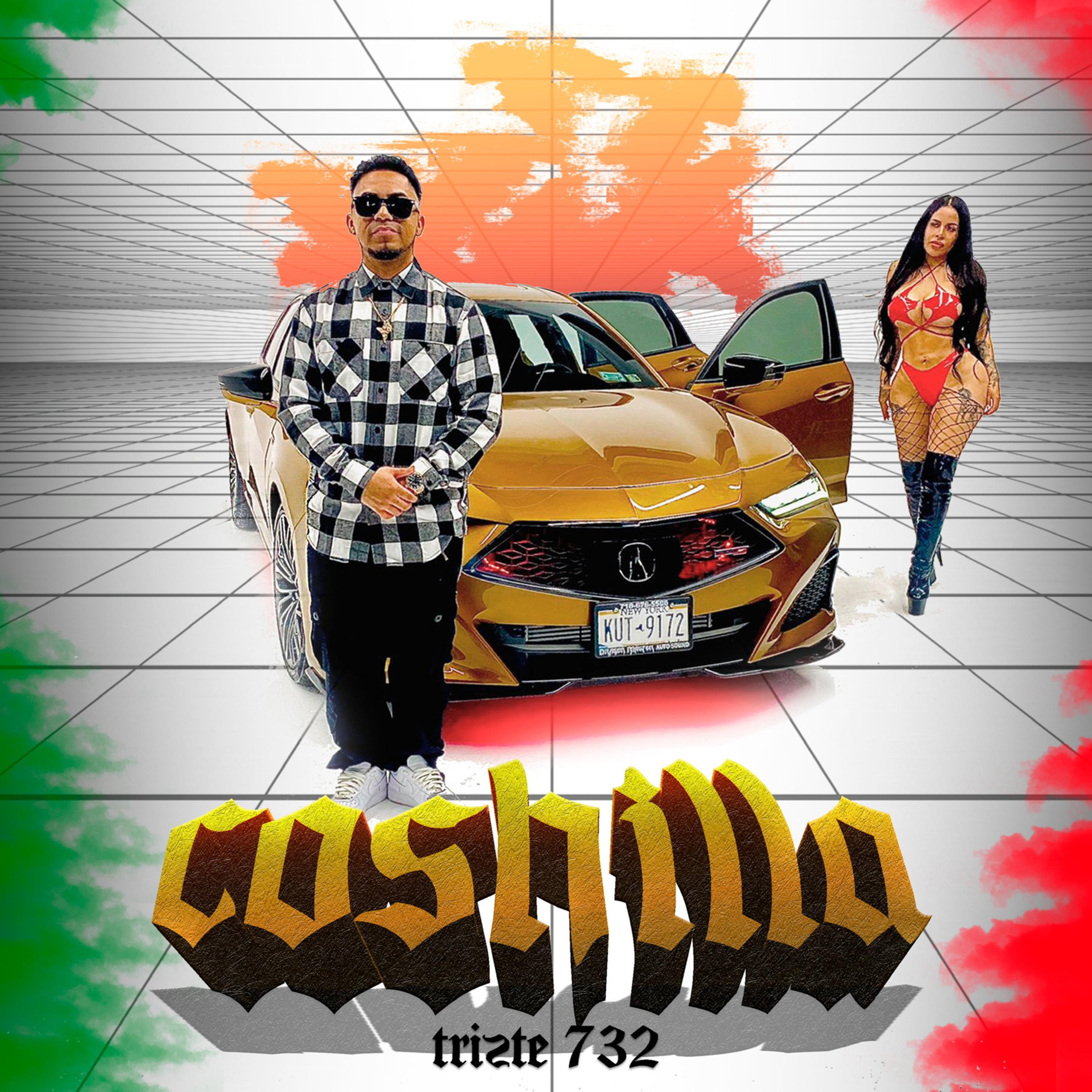 Coshilla by Trizte732 cover art