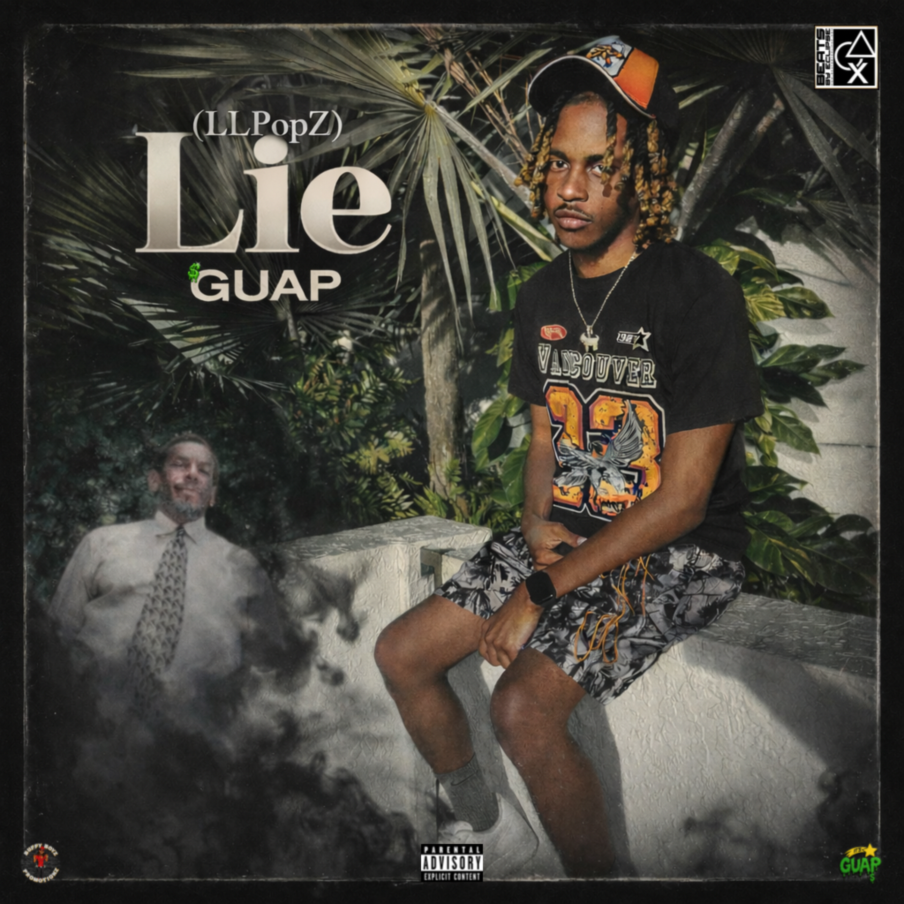 Lie artwork