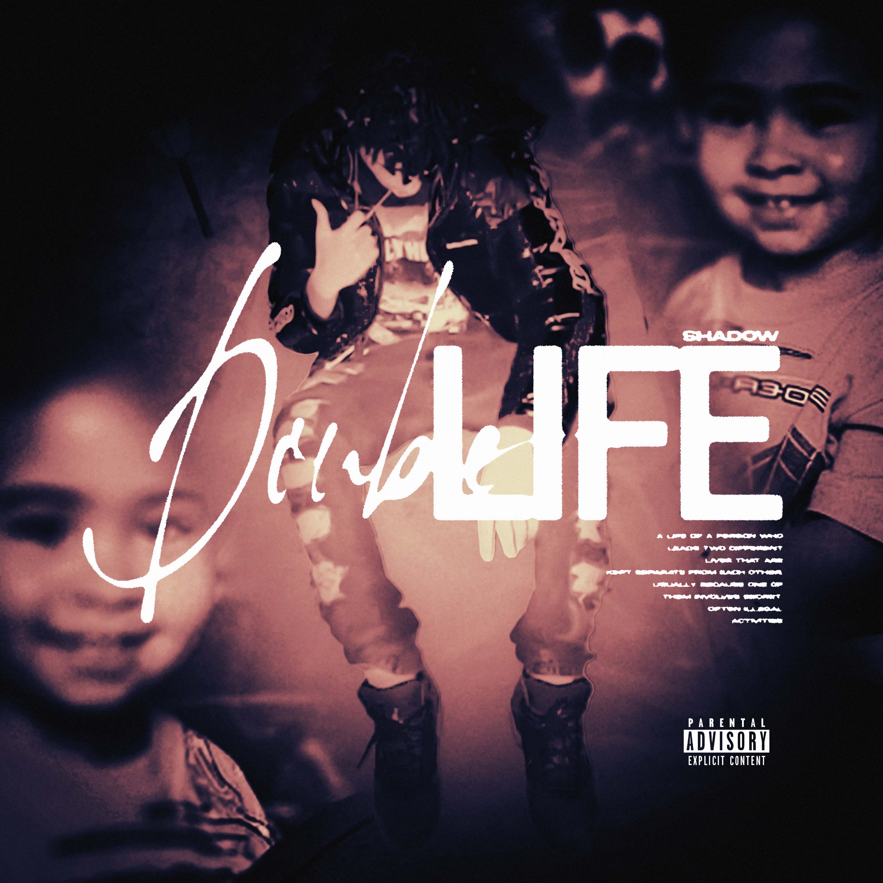 Double Life artwork