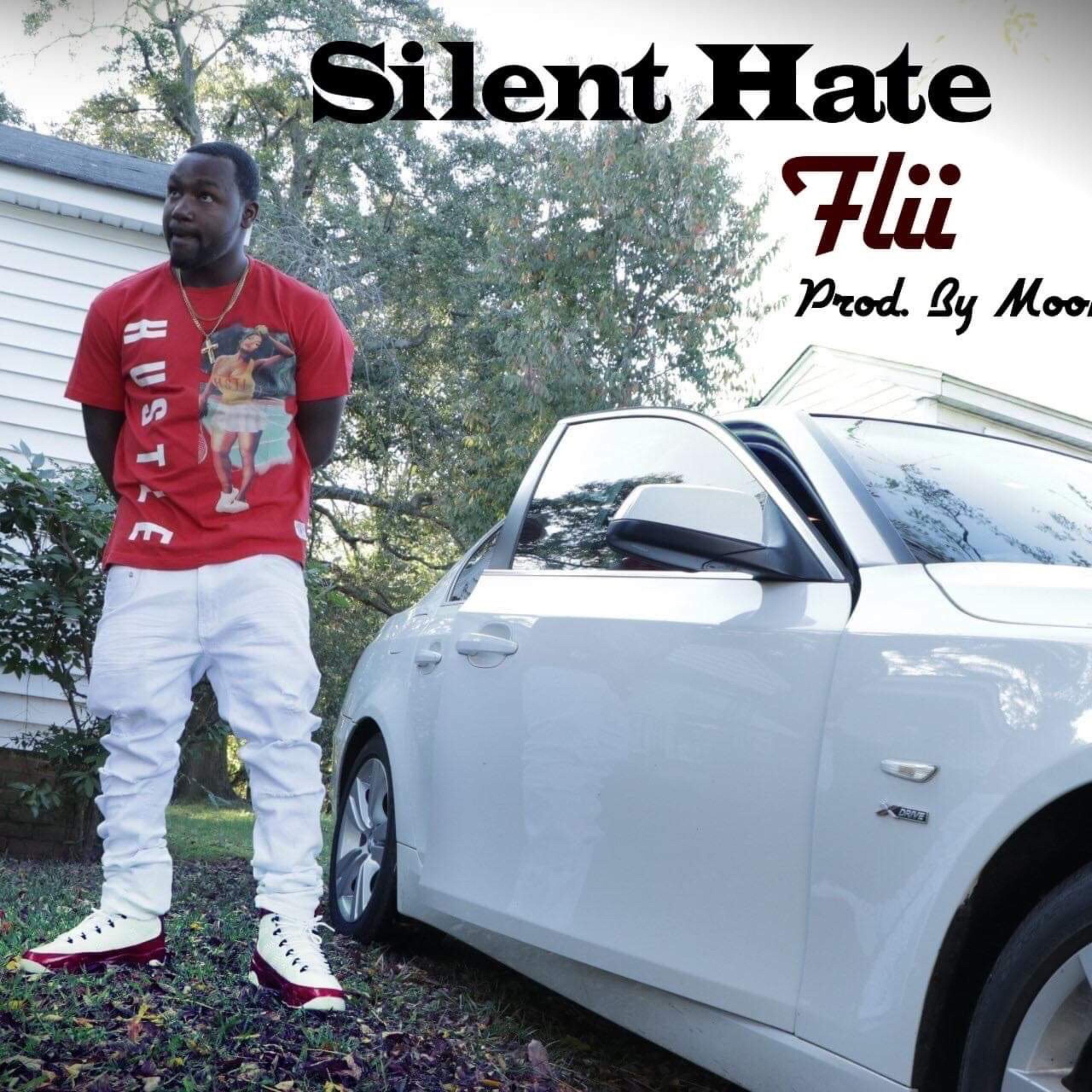 Silent Hate artwork