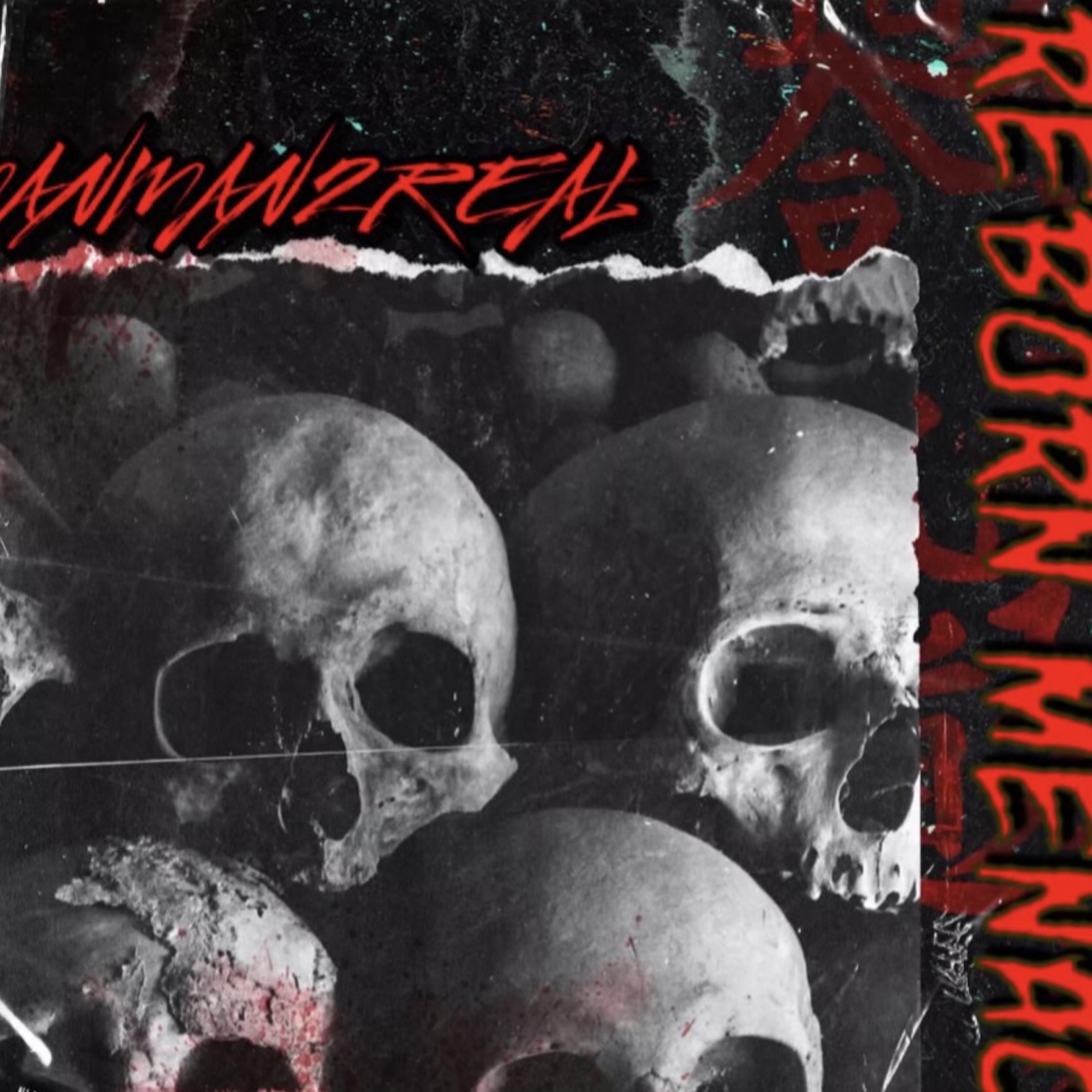 Reborn Menace by manman2real cover art