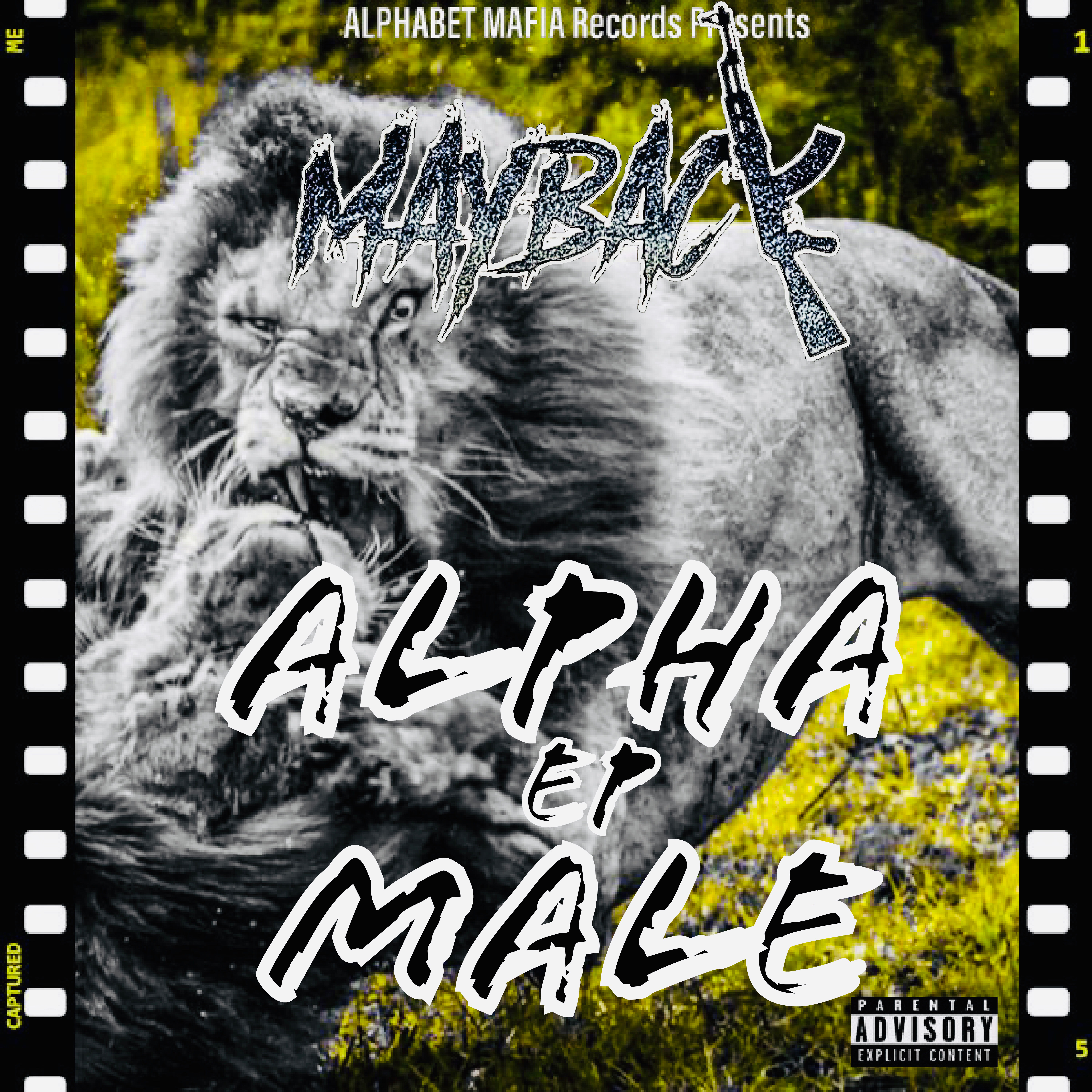 Alpha Male artwork