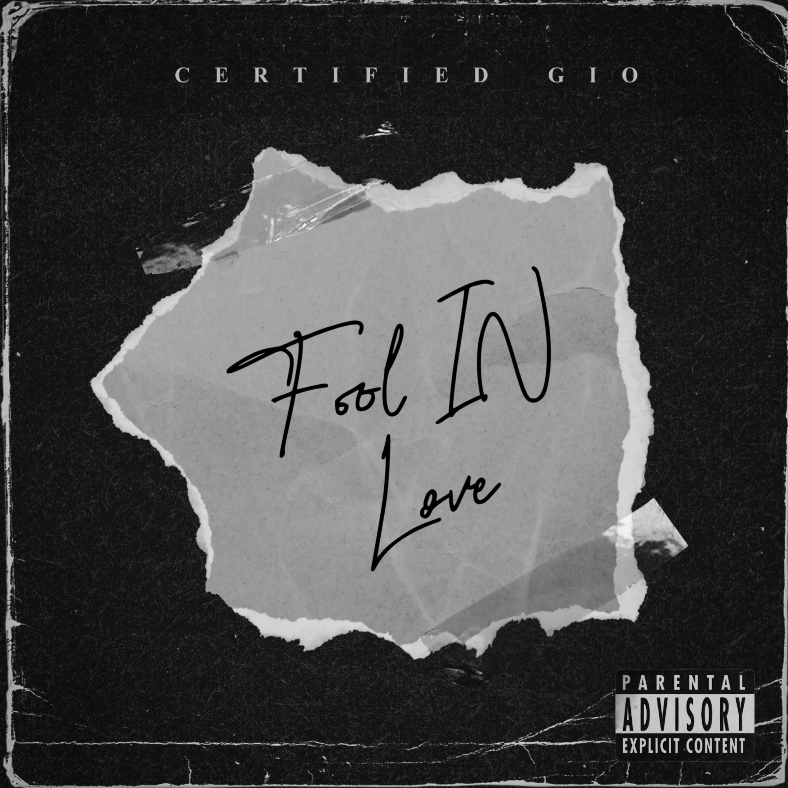 Fool In Love artwork