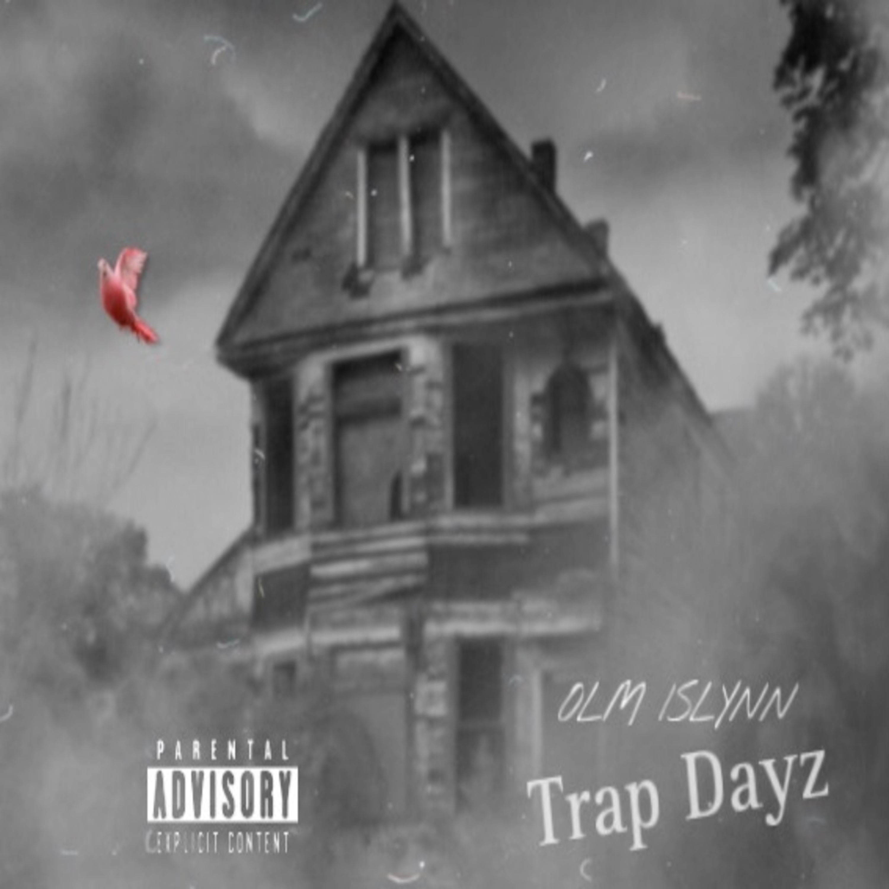 Trap Dayz artwork