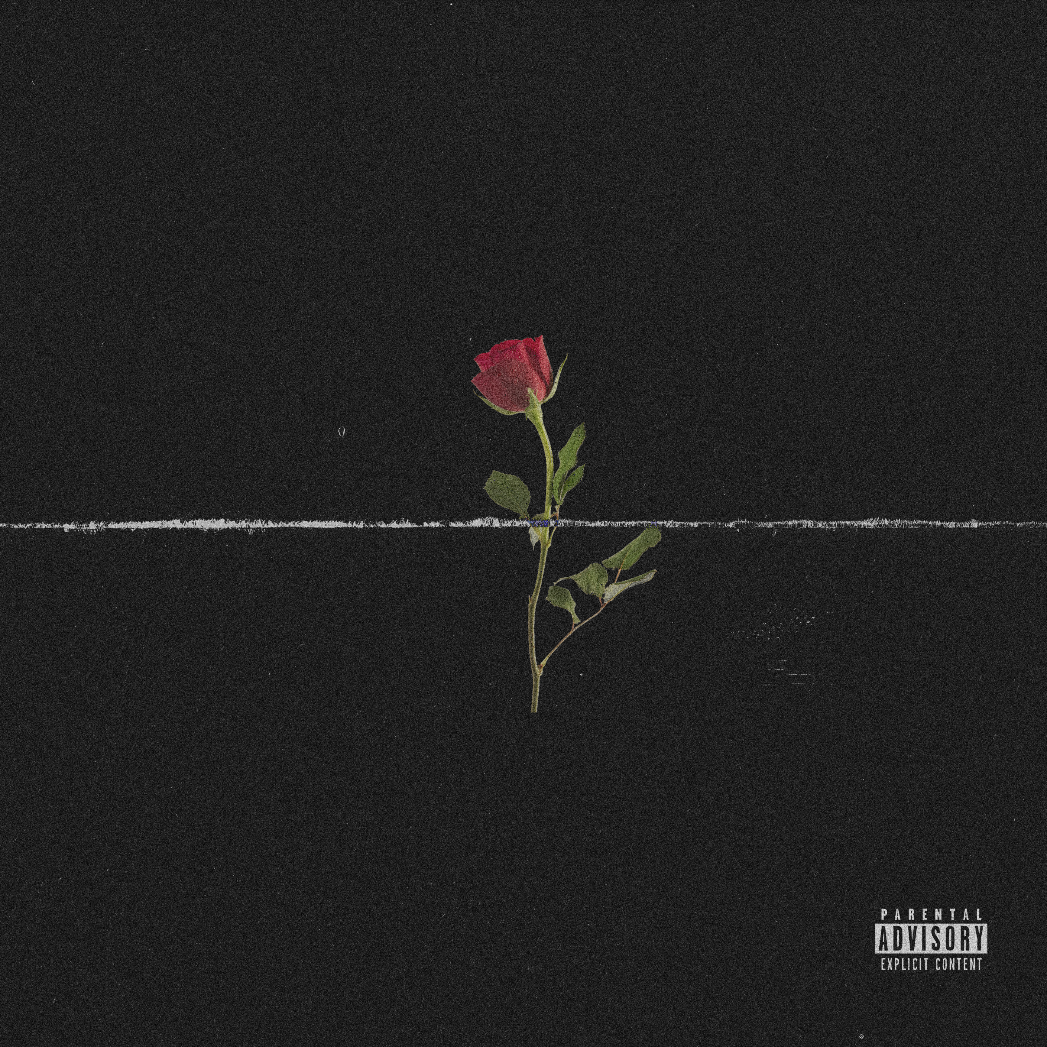 ROSE artwork