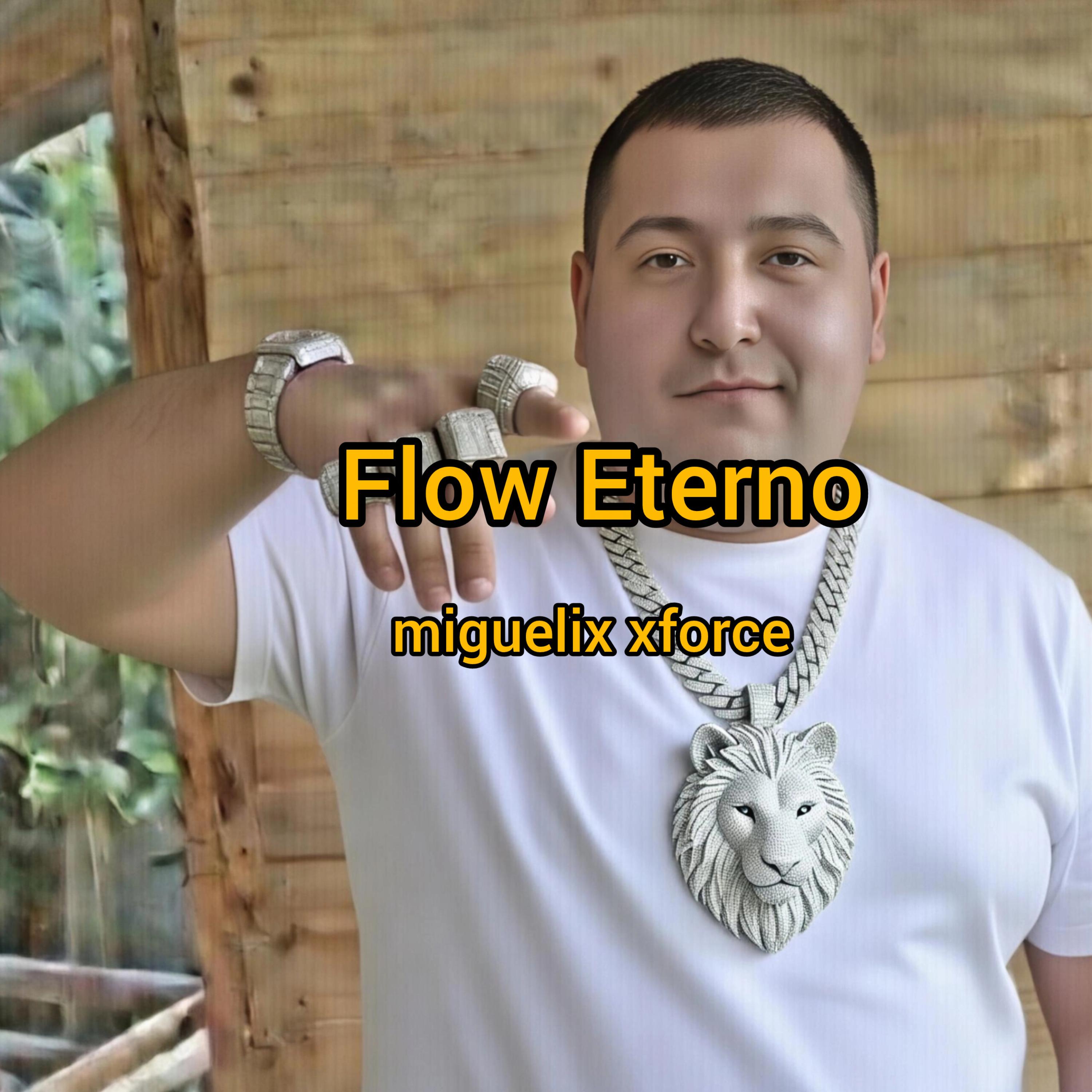 4 Flow Eterno artwork