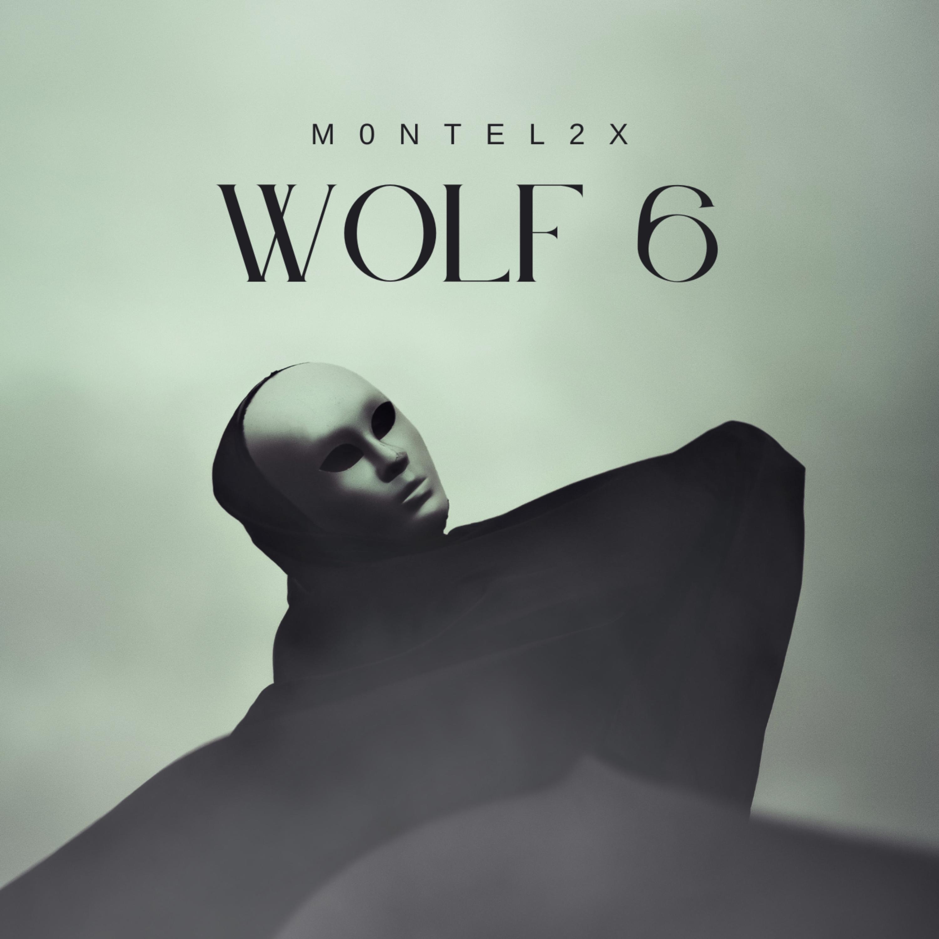Wolf 6 by M0ntel2x cover art