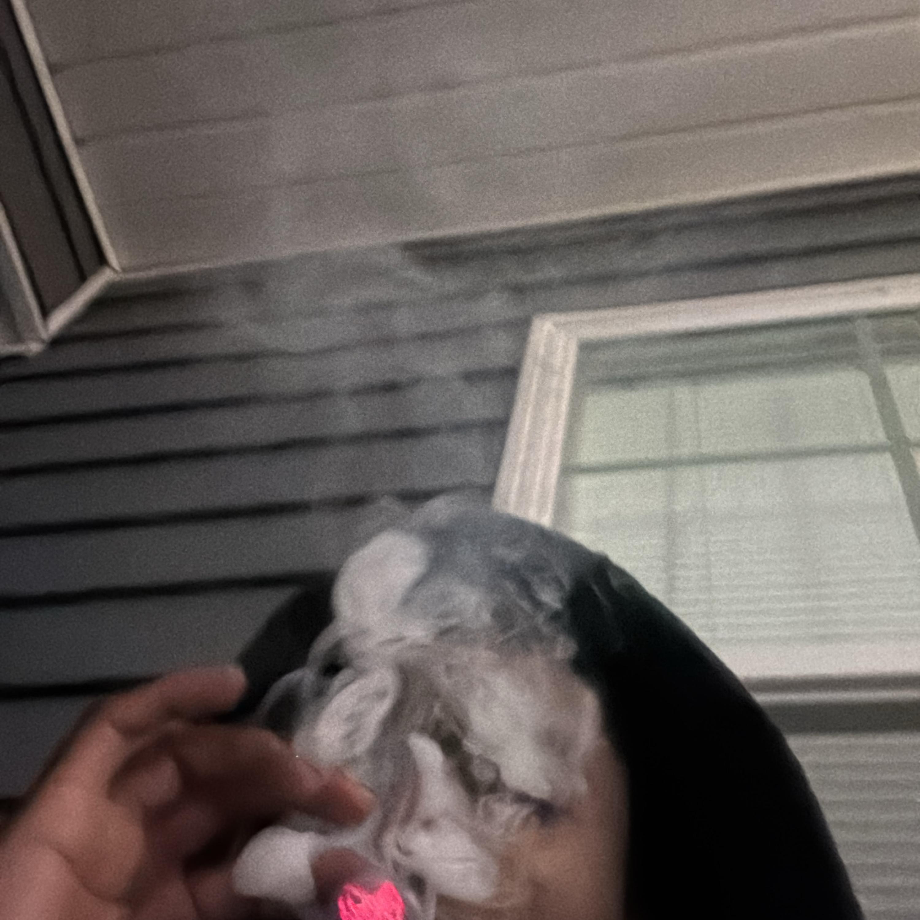 1230AM 2 artwork