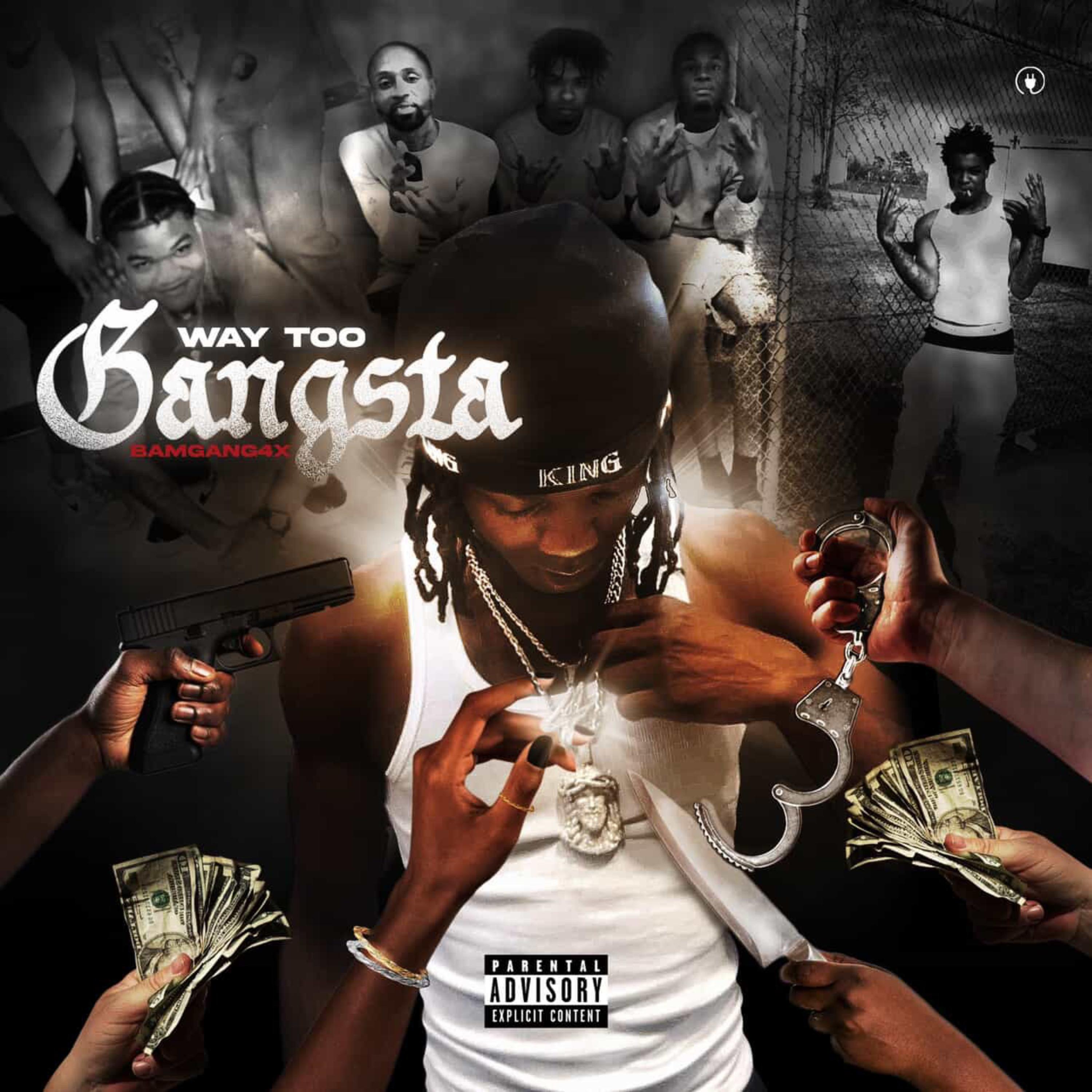 Way Too Gangsta artwork