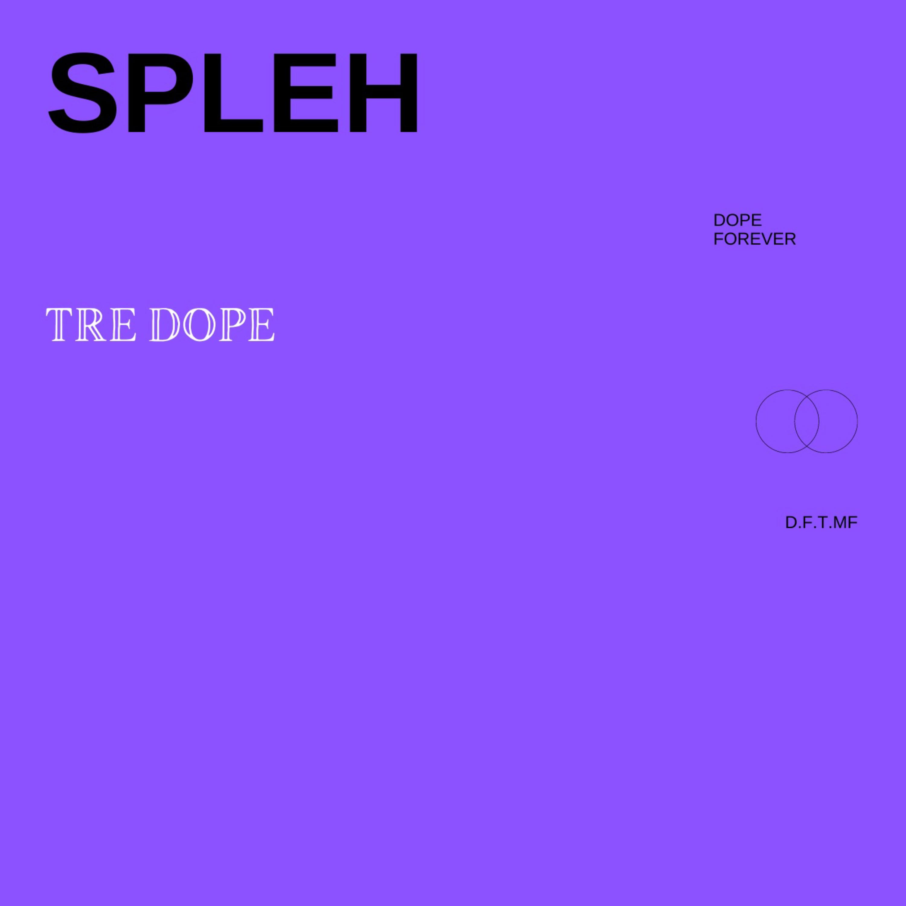 Spleh artwork