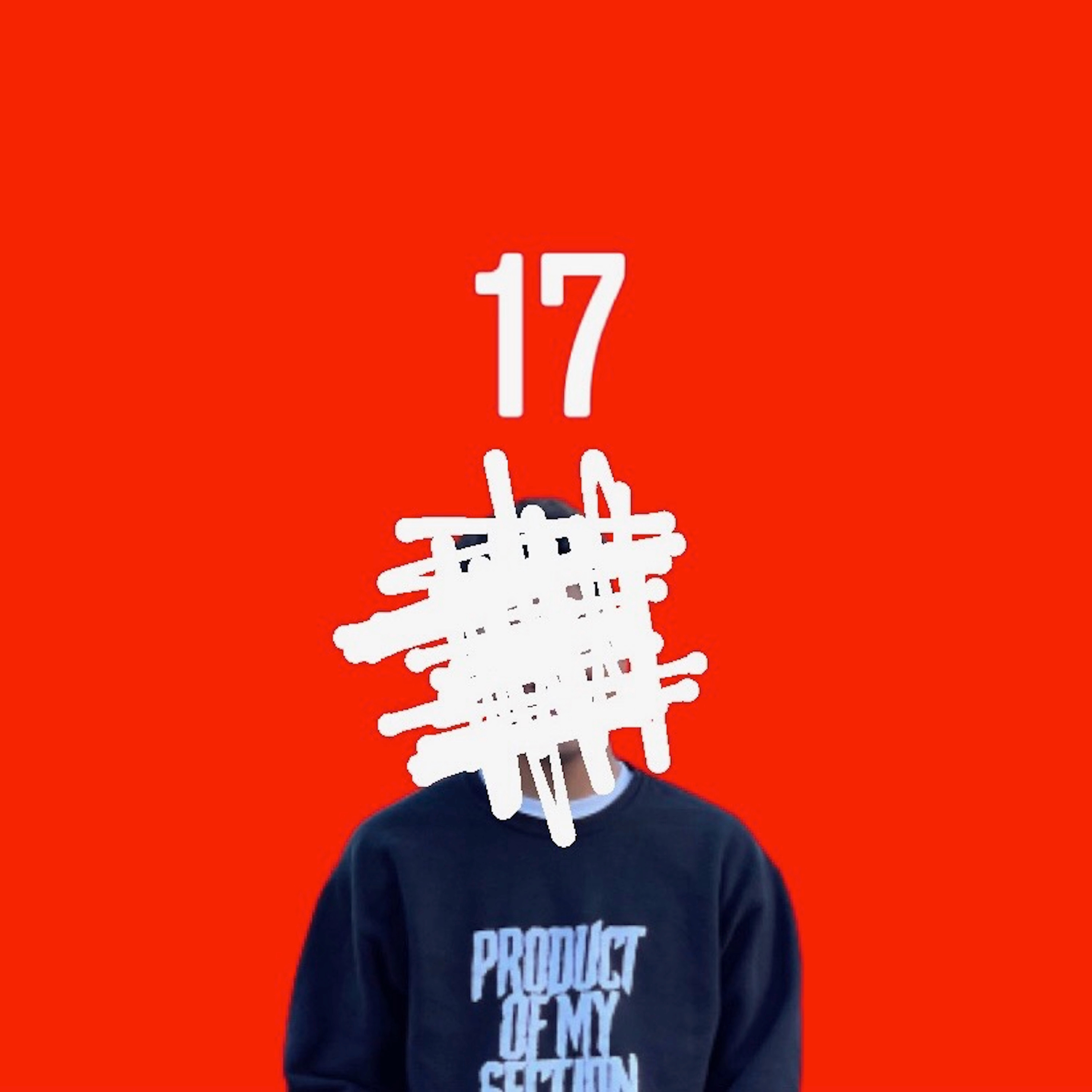 17 artwork