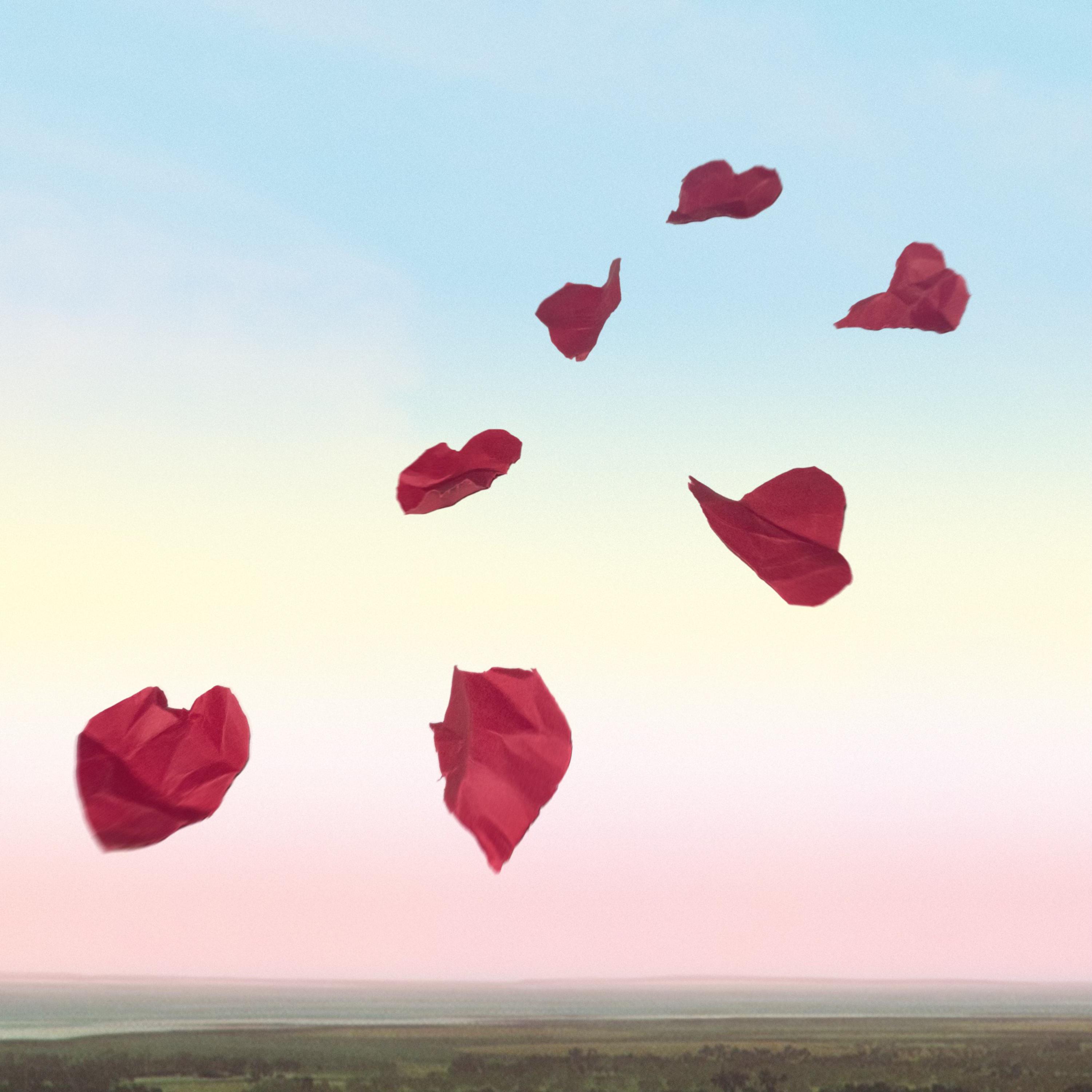 Heavy Heart artwork