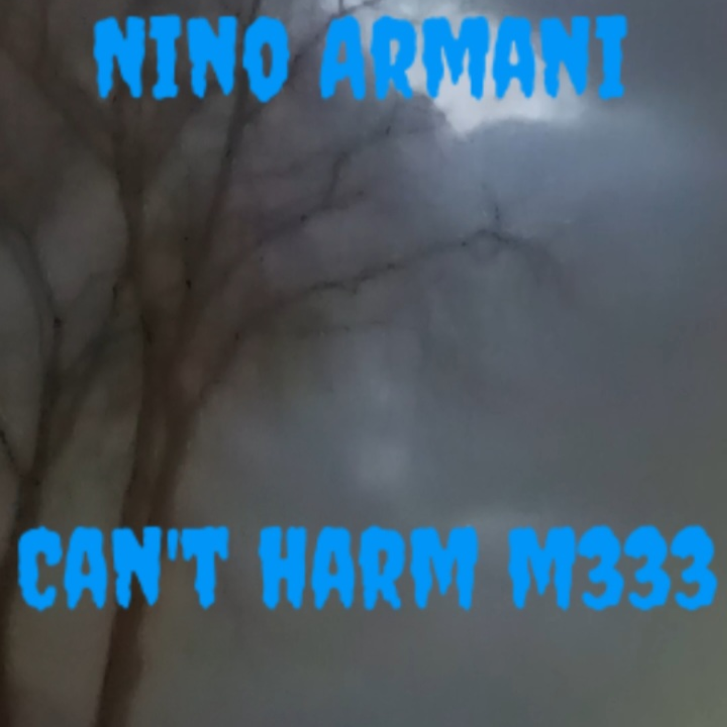 CAN'T HARM M333 artwork