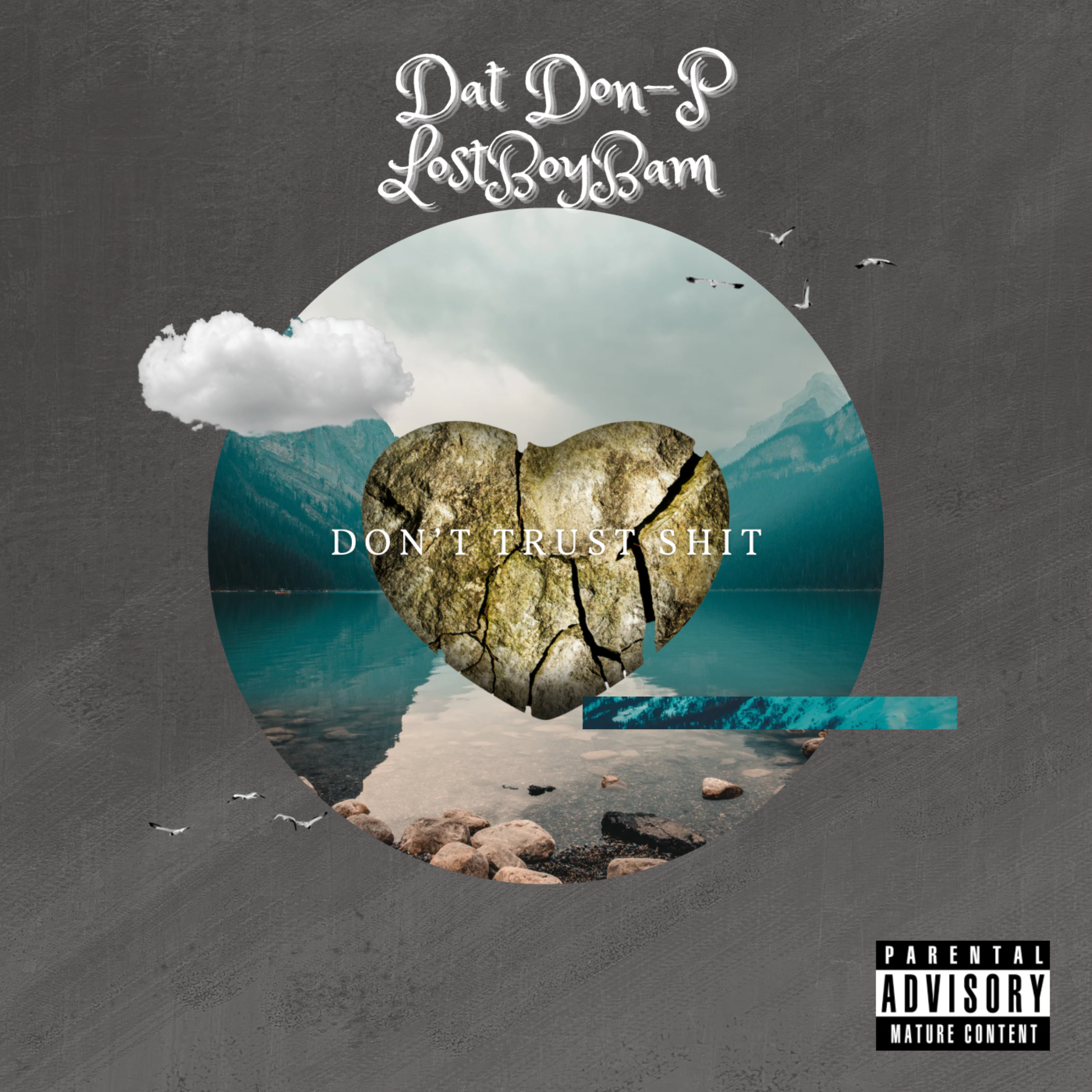 Don't Trust Shit artwork
