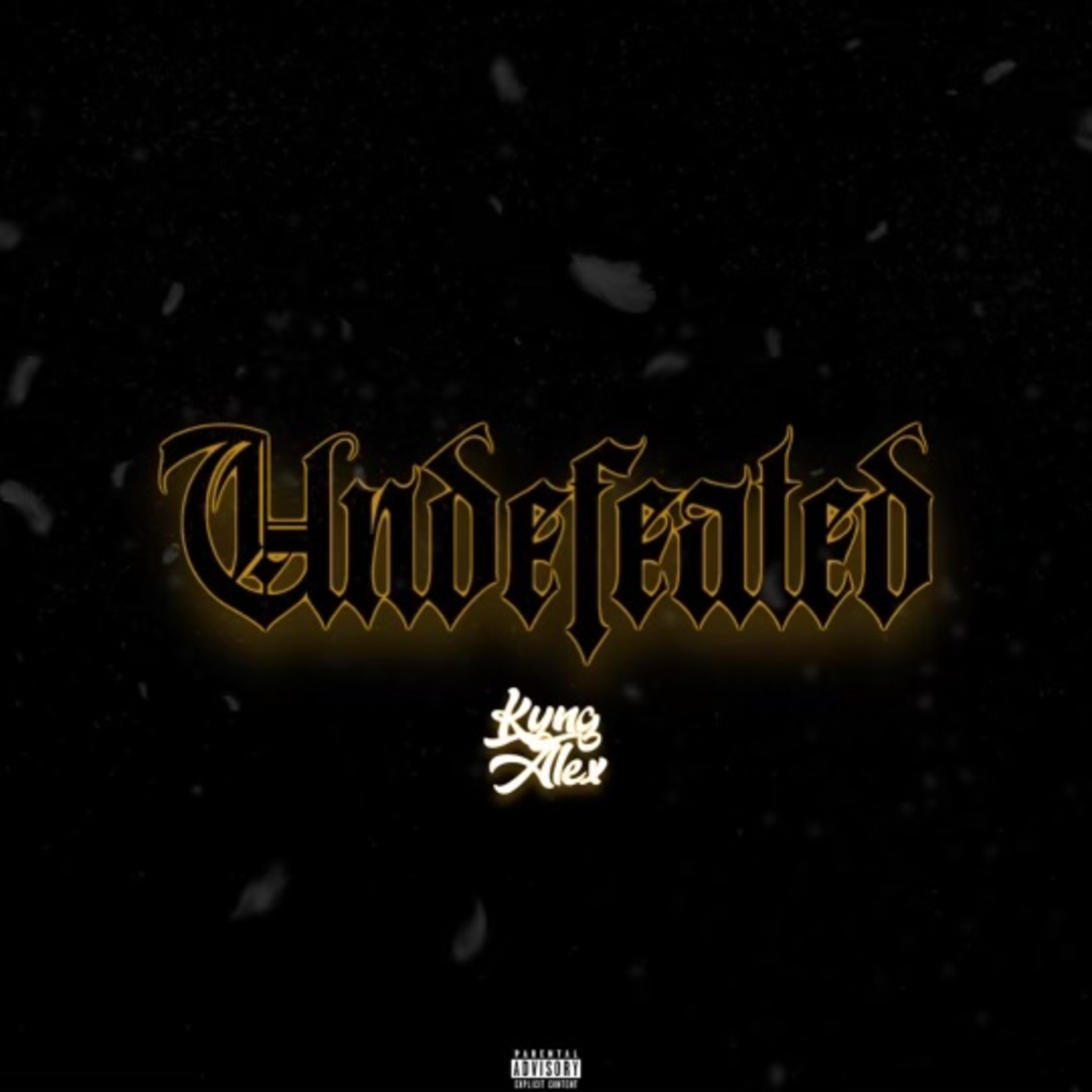 Undefeated artwork