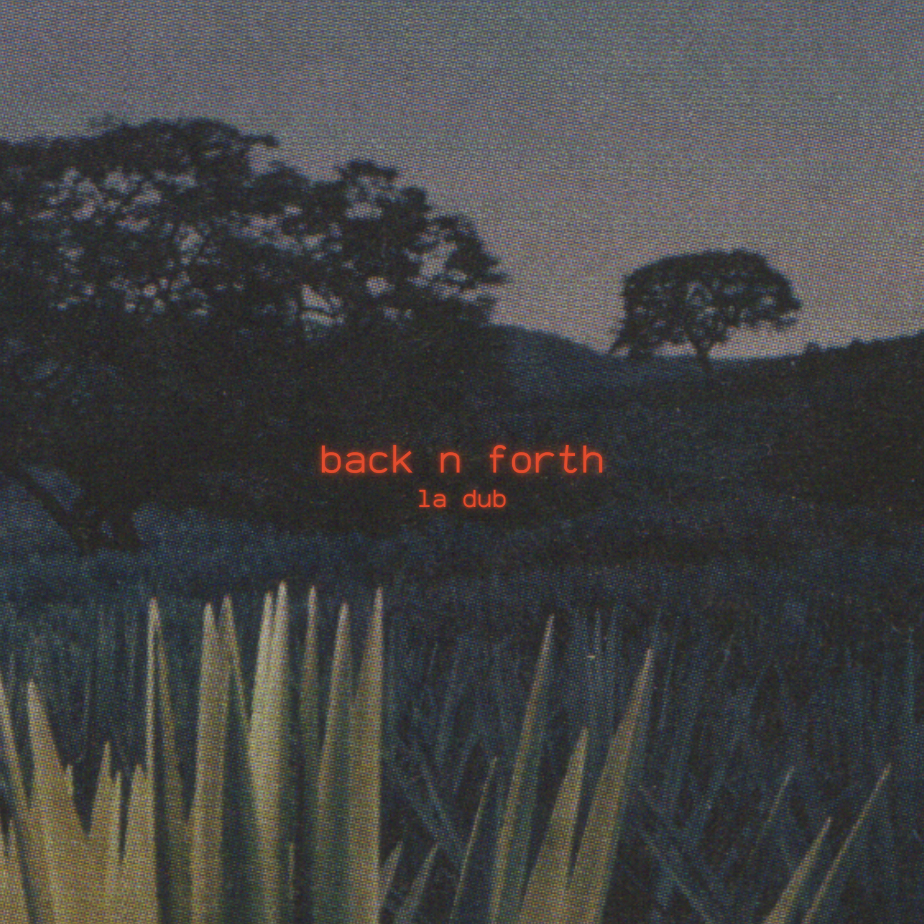 Back N Forth artwork