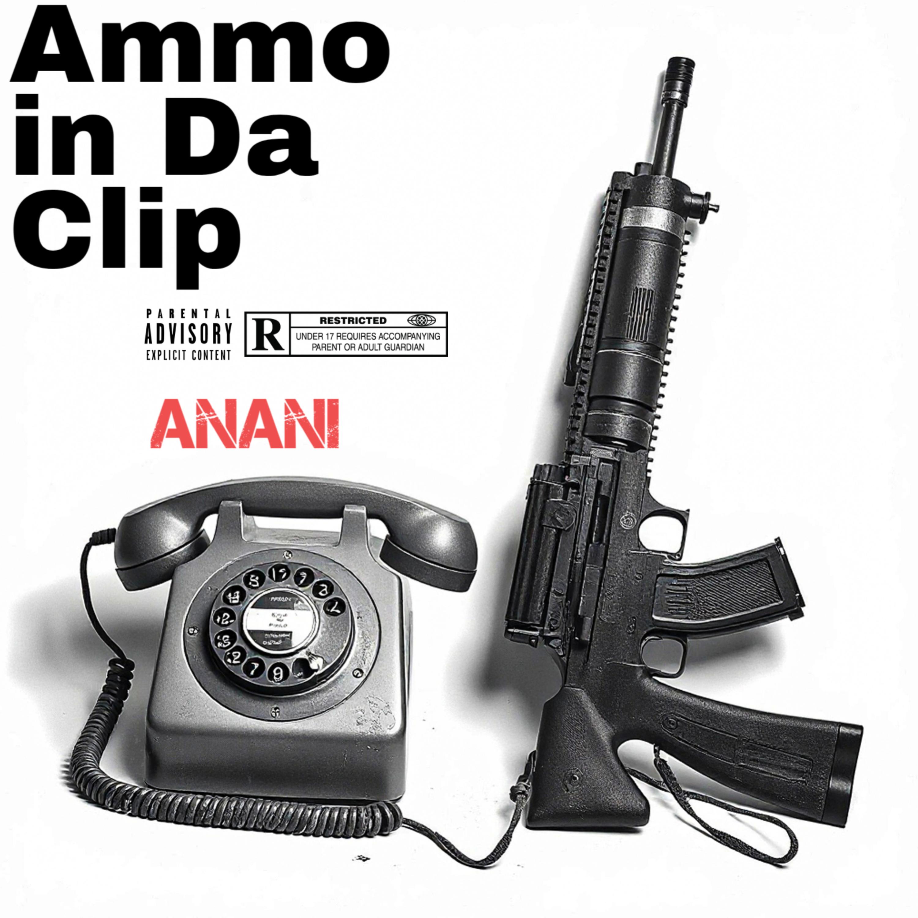 Ammo In Da Clip artwork
