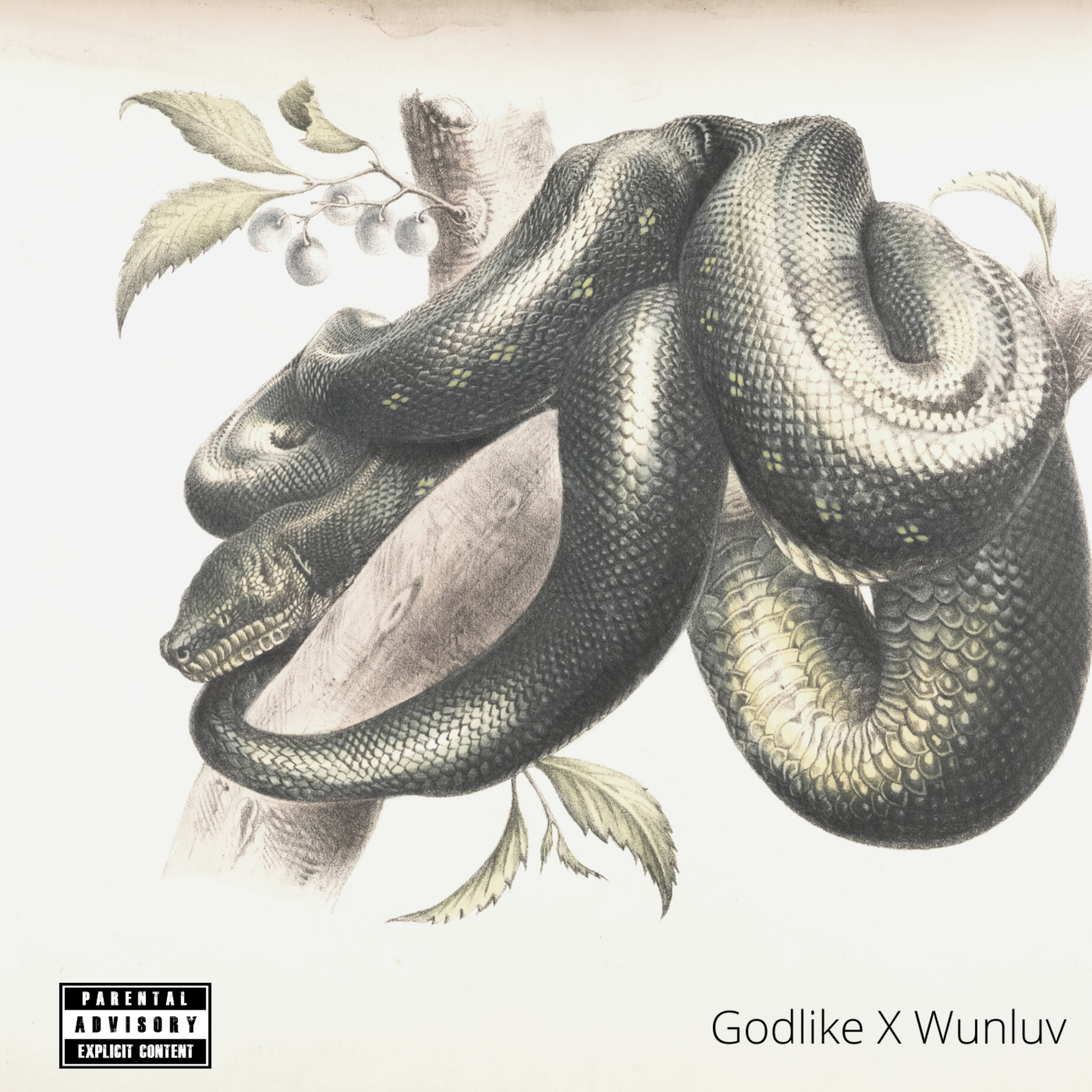 Snakes artwork