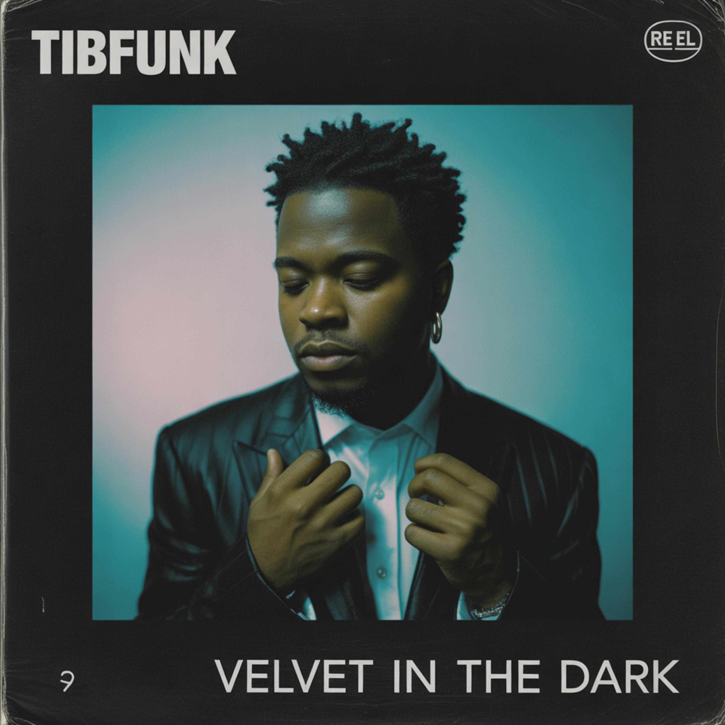 Velvet in the dark artwork