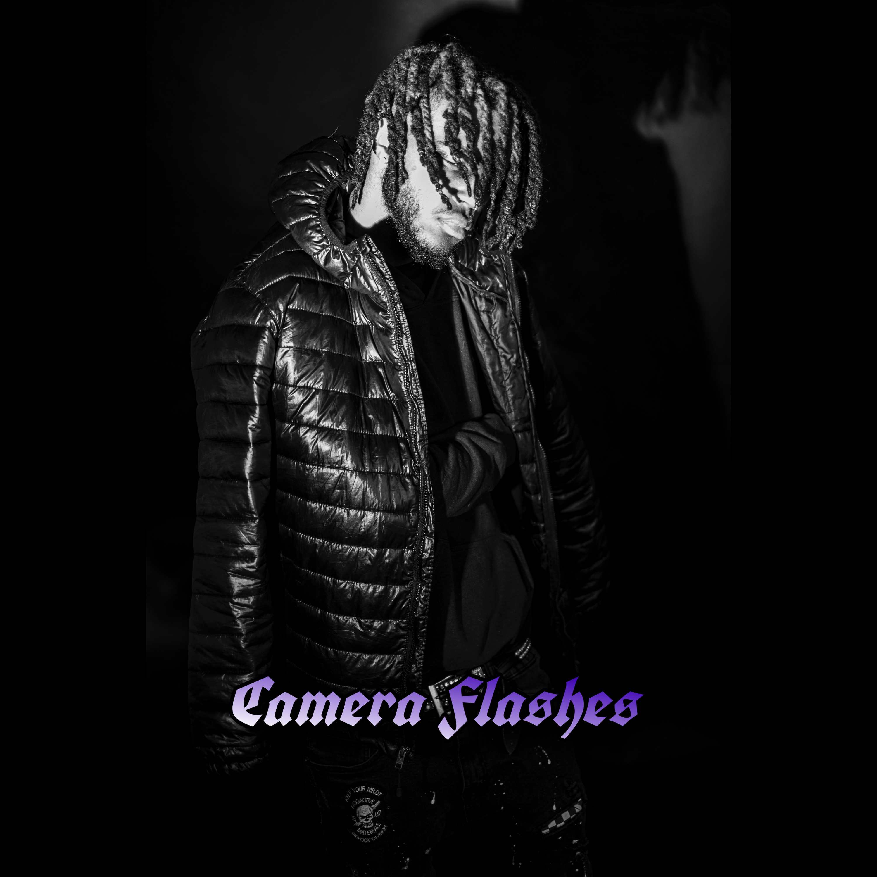 Camera Flashes artwork