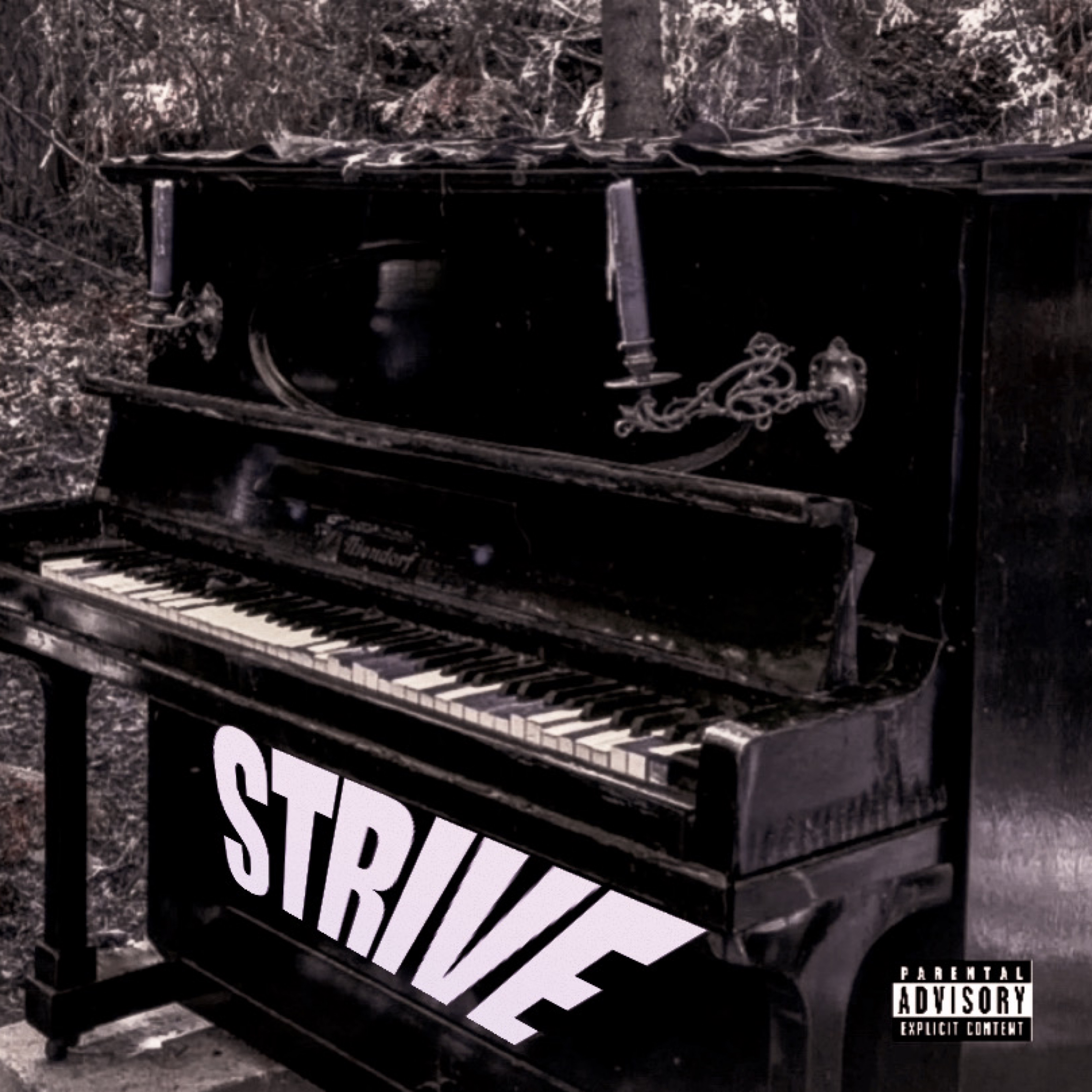 Strive artwork