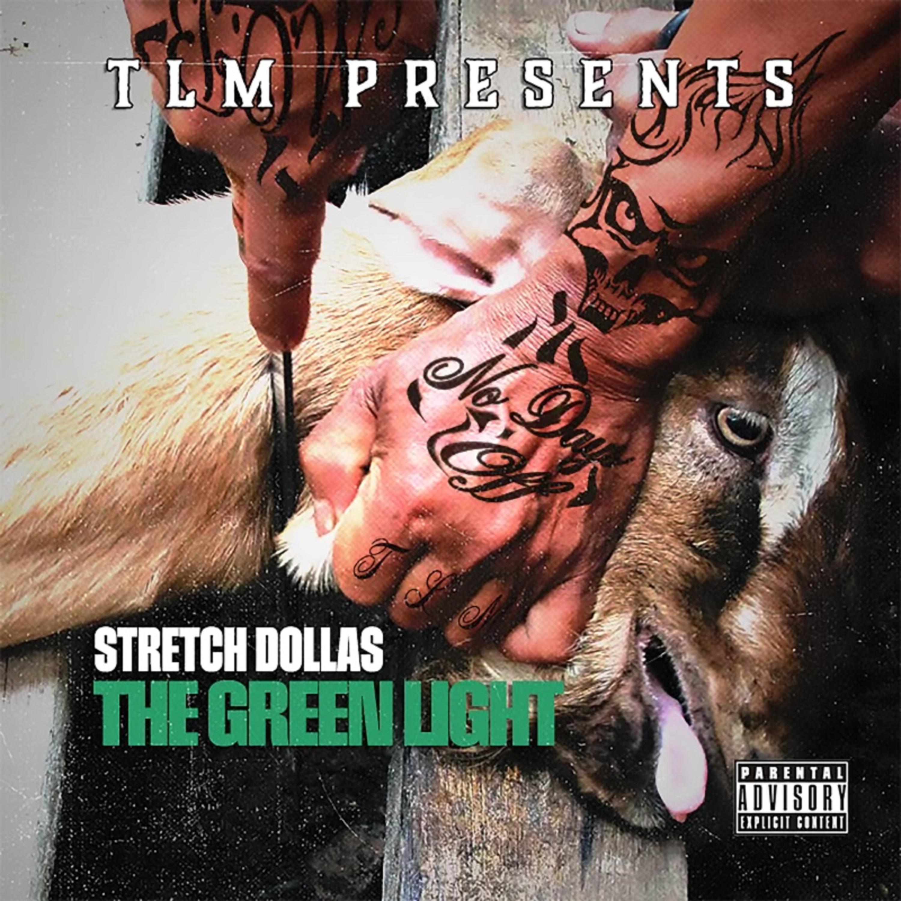 The Greenlight by Stretch Dollas cover art