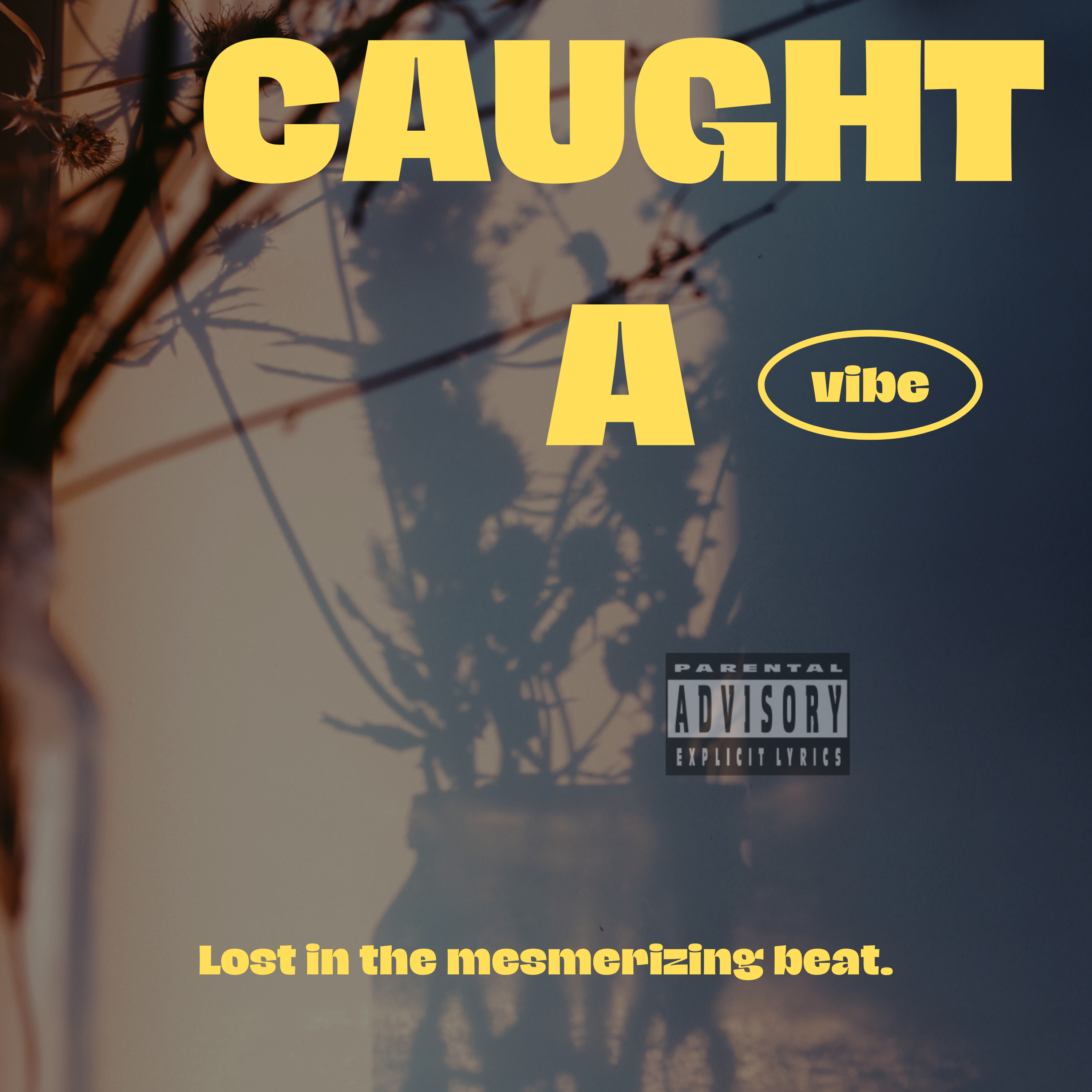 Caught A Vibe artwork