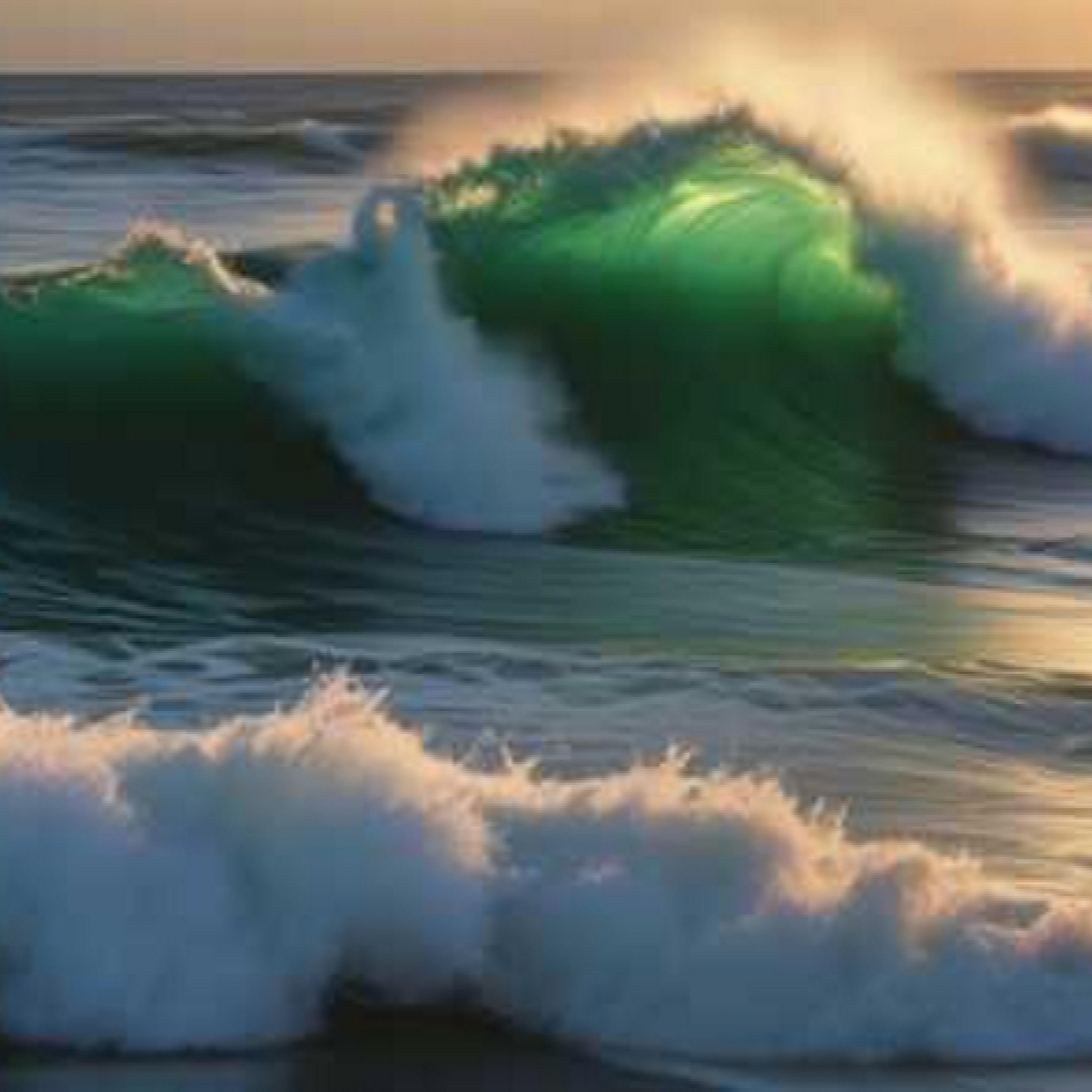 Magic Of Grass artwork