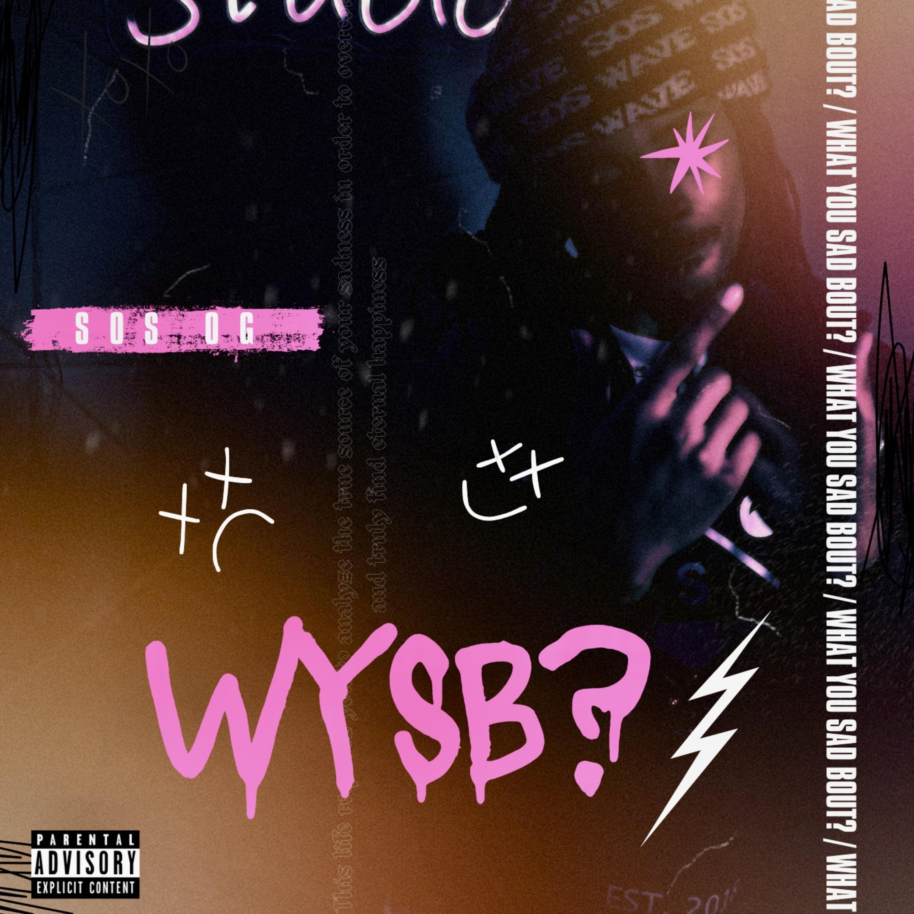 wysb? / fine sh!t artwork