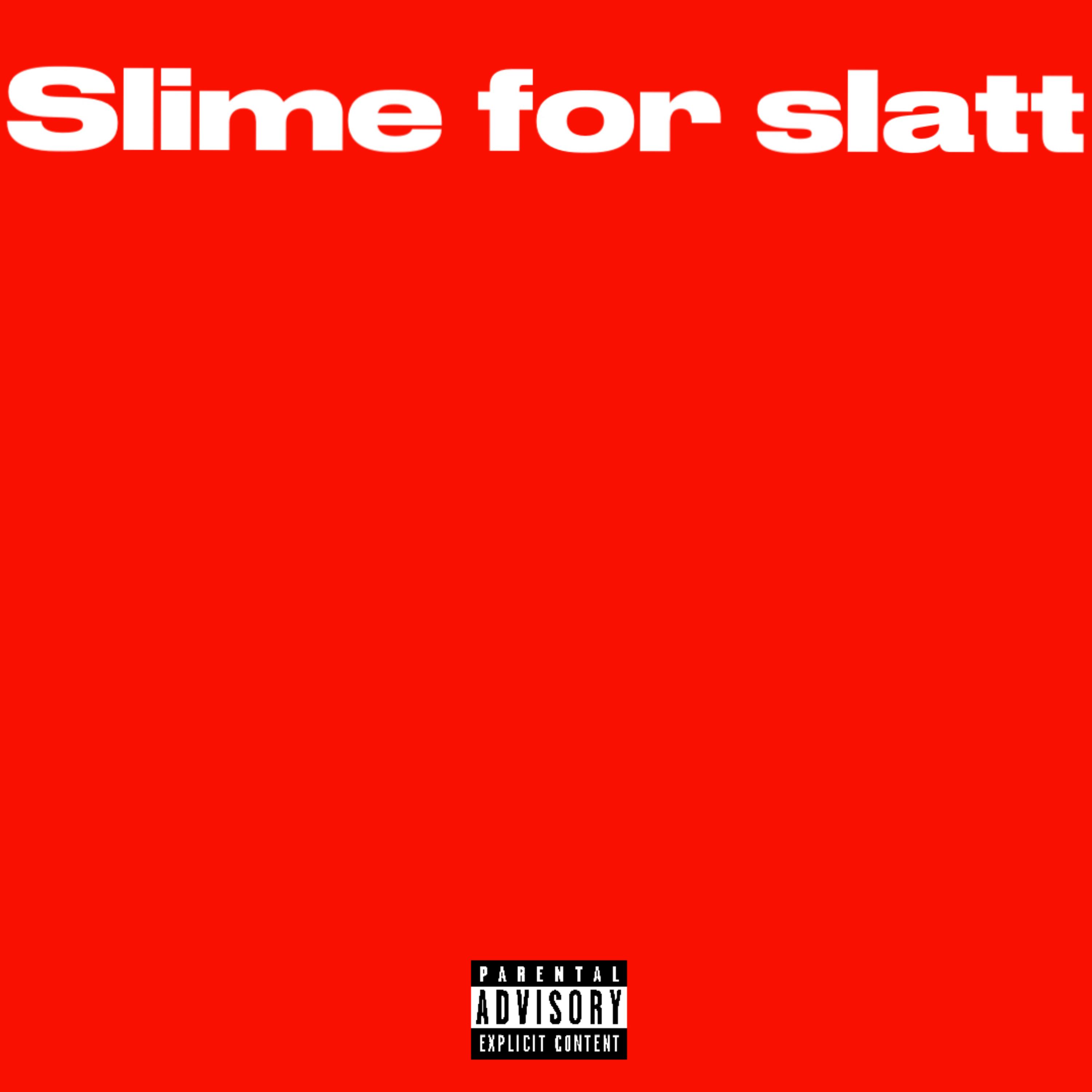 Slime For Slatt artwork