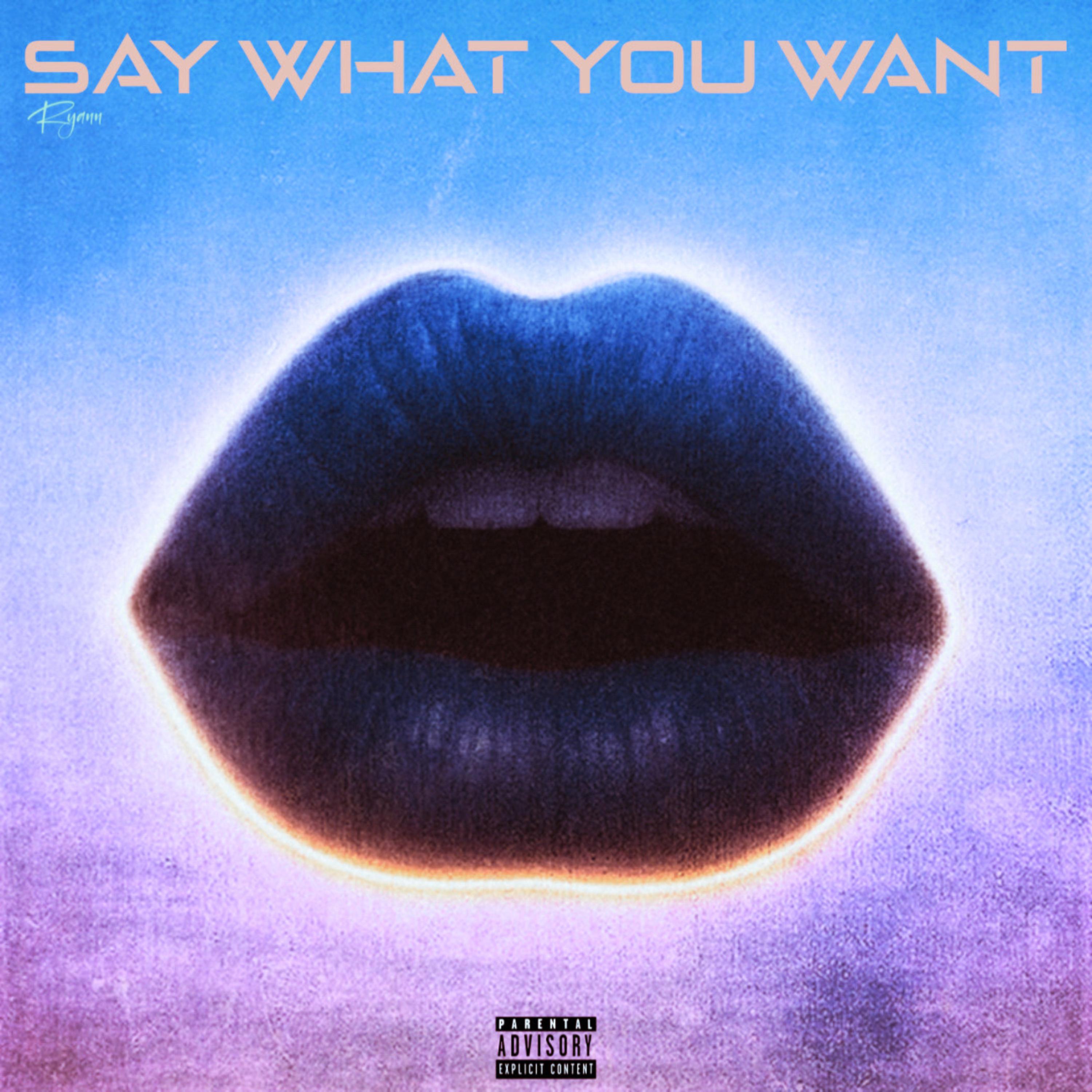 Say What You Want (Special Edition) artwork