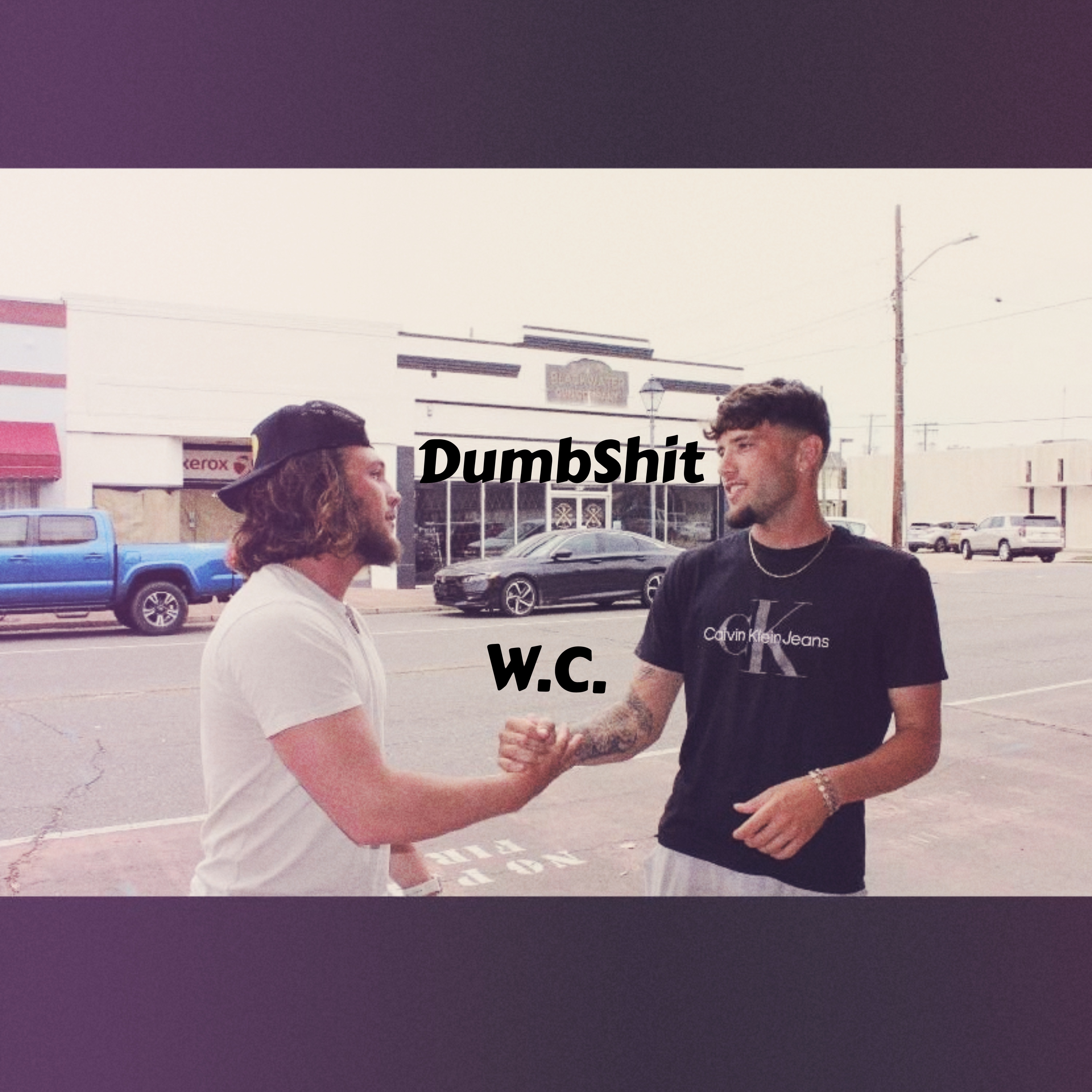 DumbShit artwork