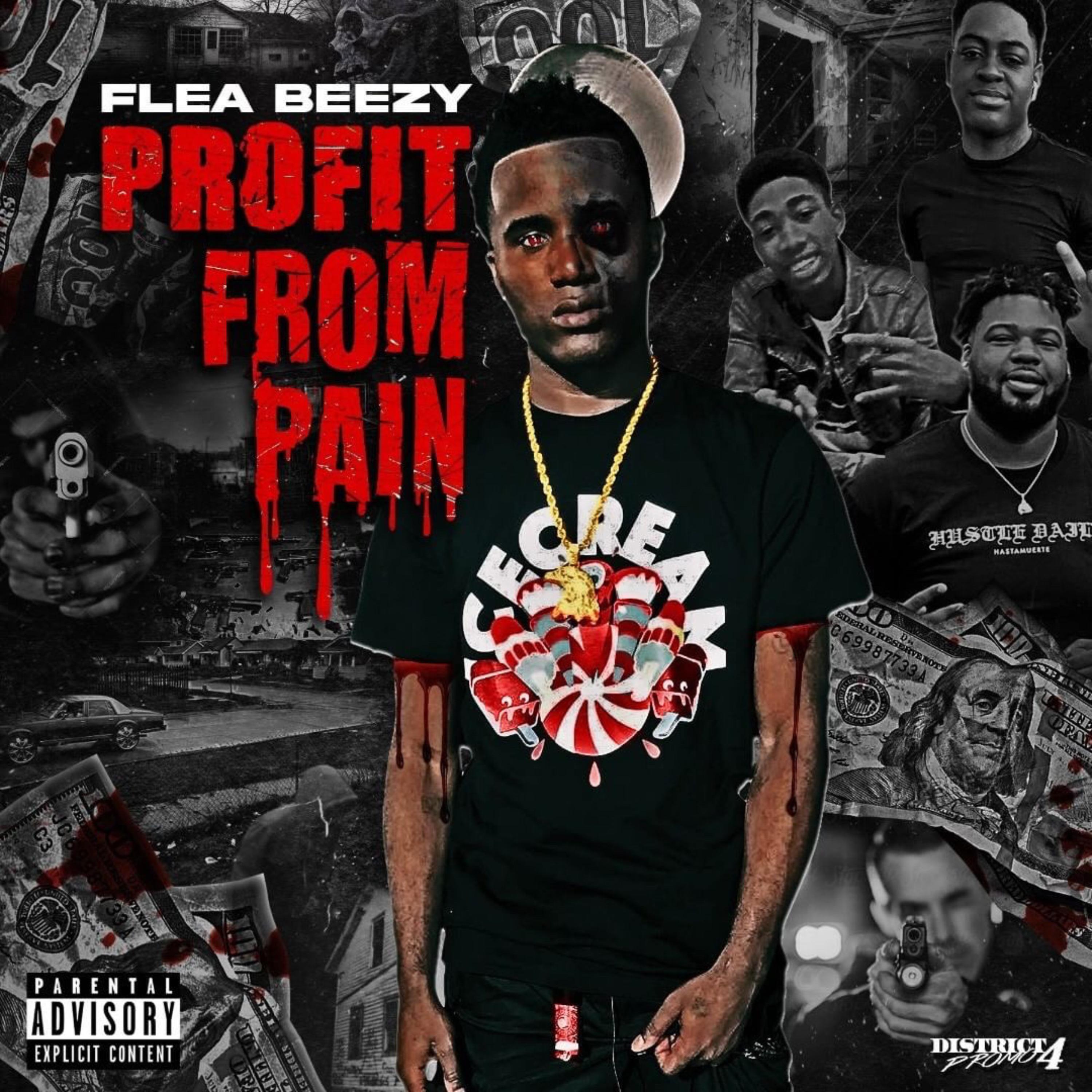 Profit From Pain artwork